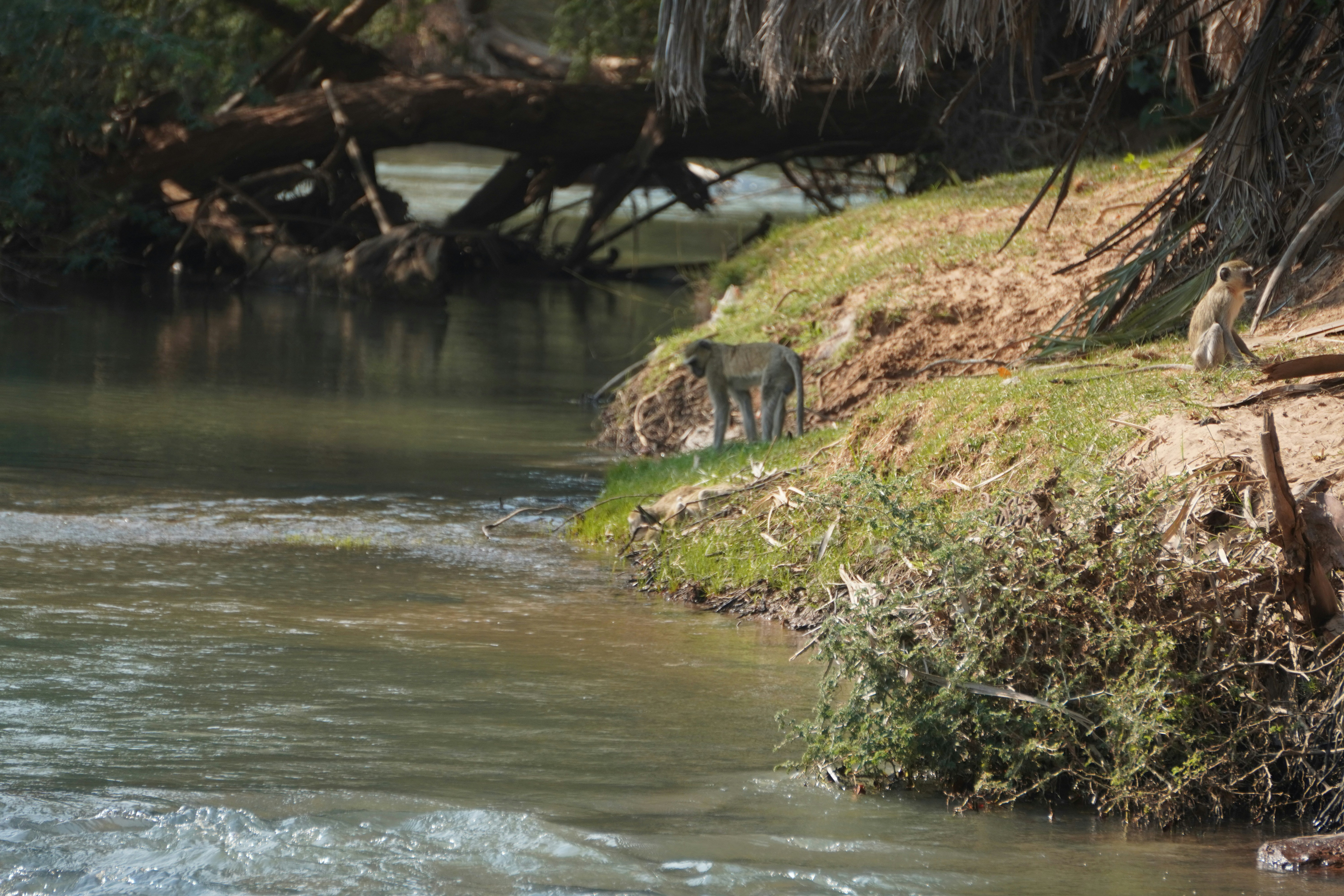 Photo by worldchris75