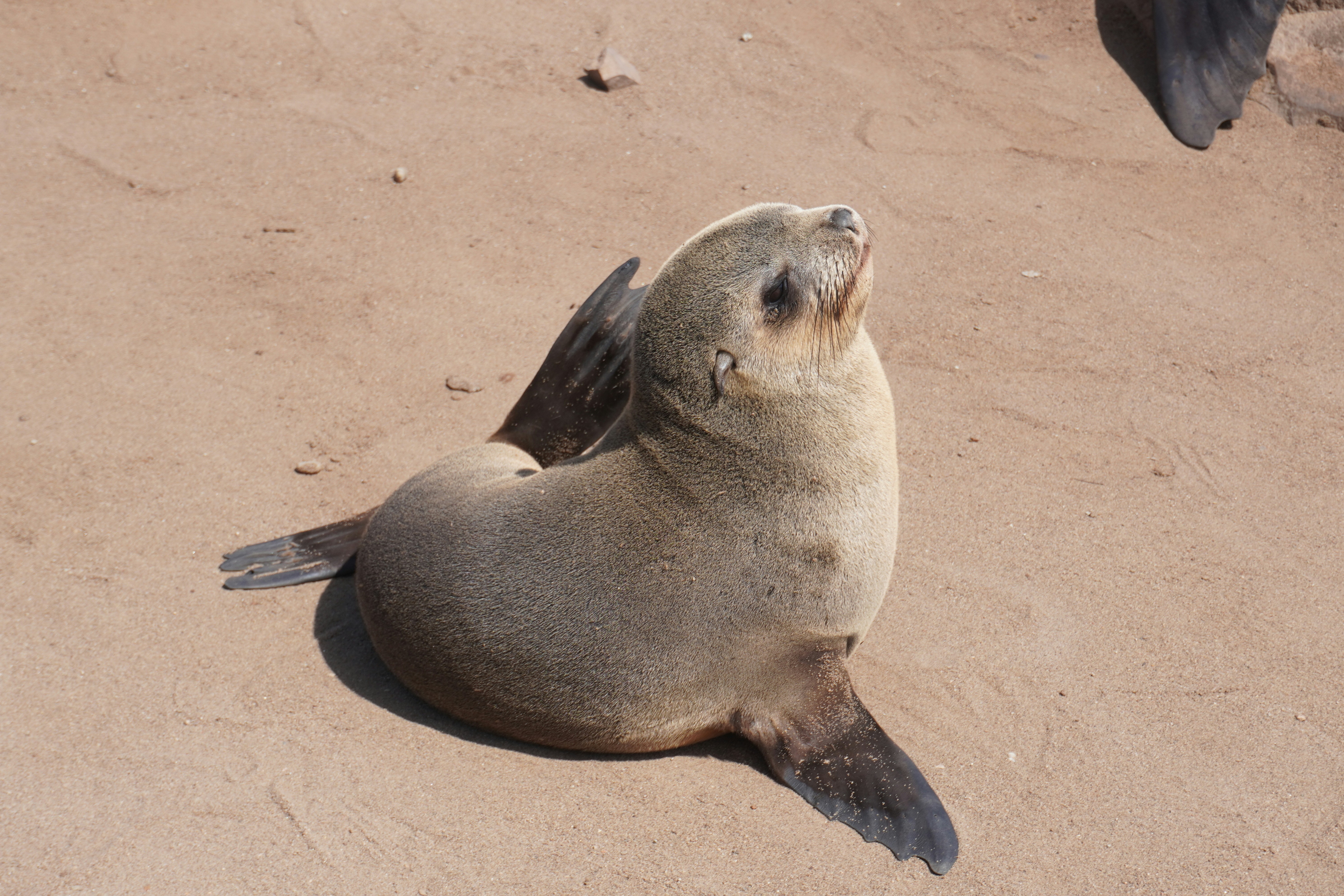 Photo by worldchris75