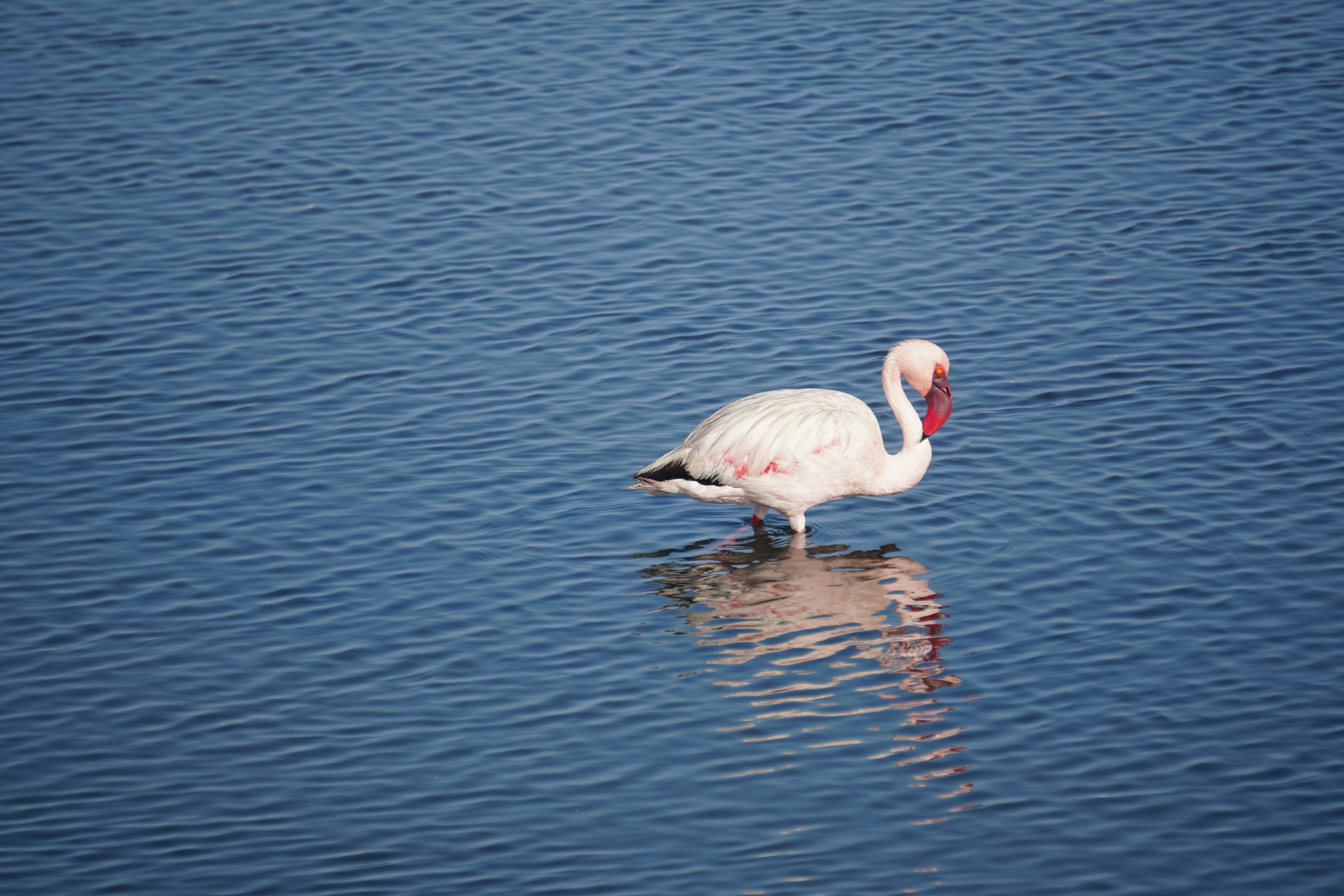 Photo by worldchris75