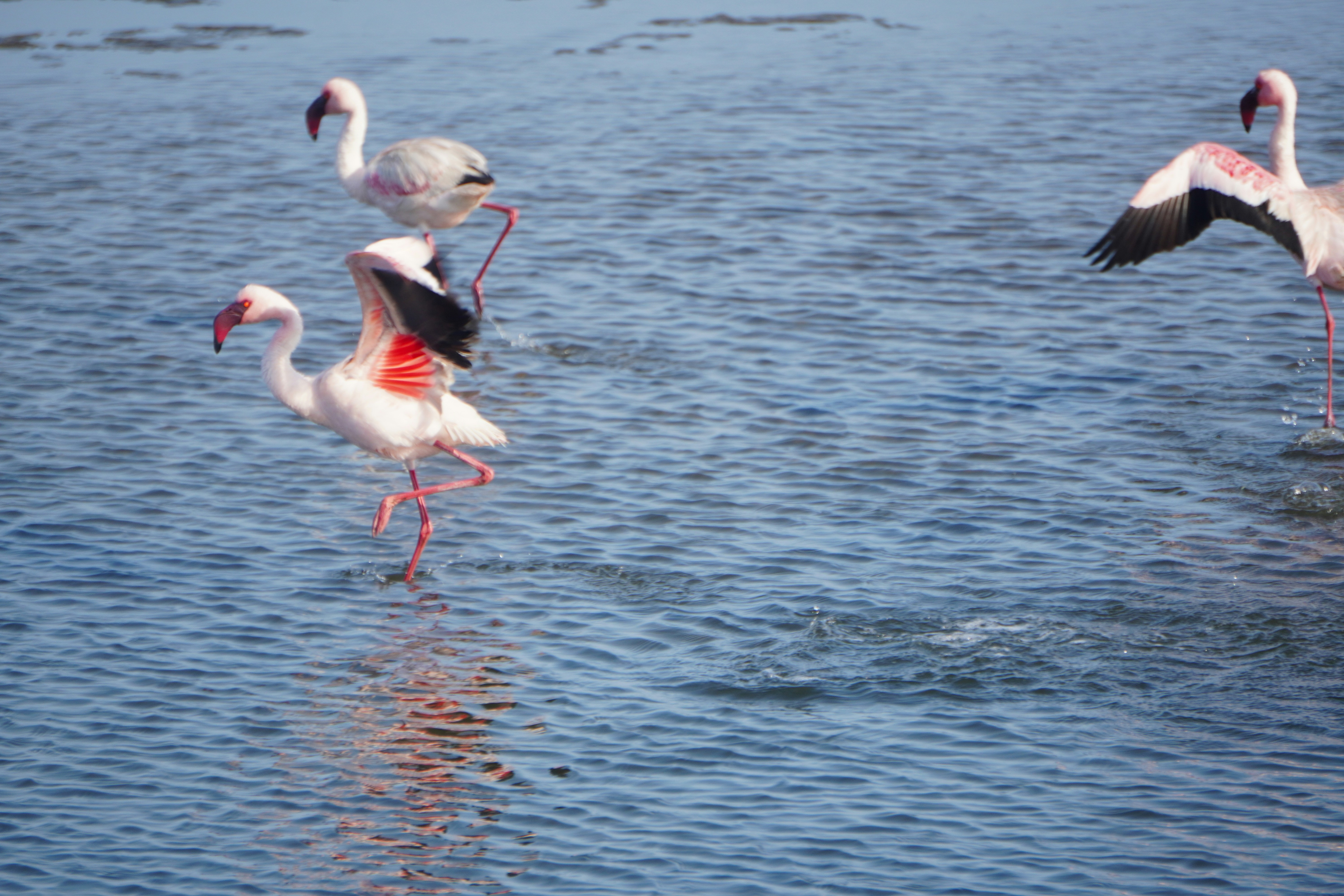 Photo by worldchris75