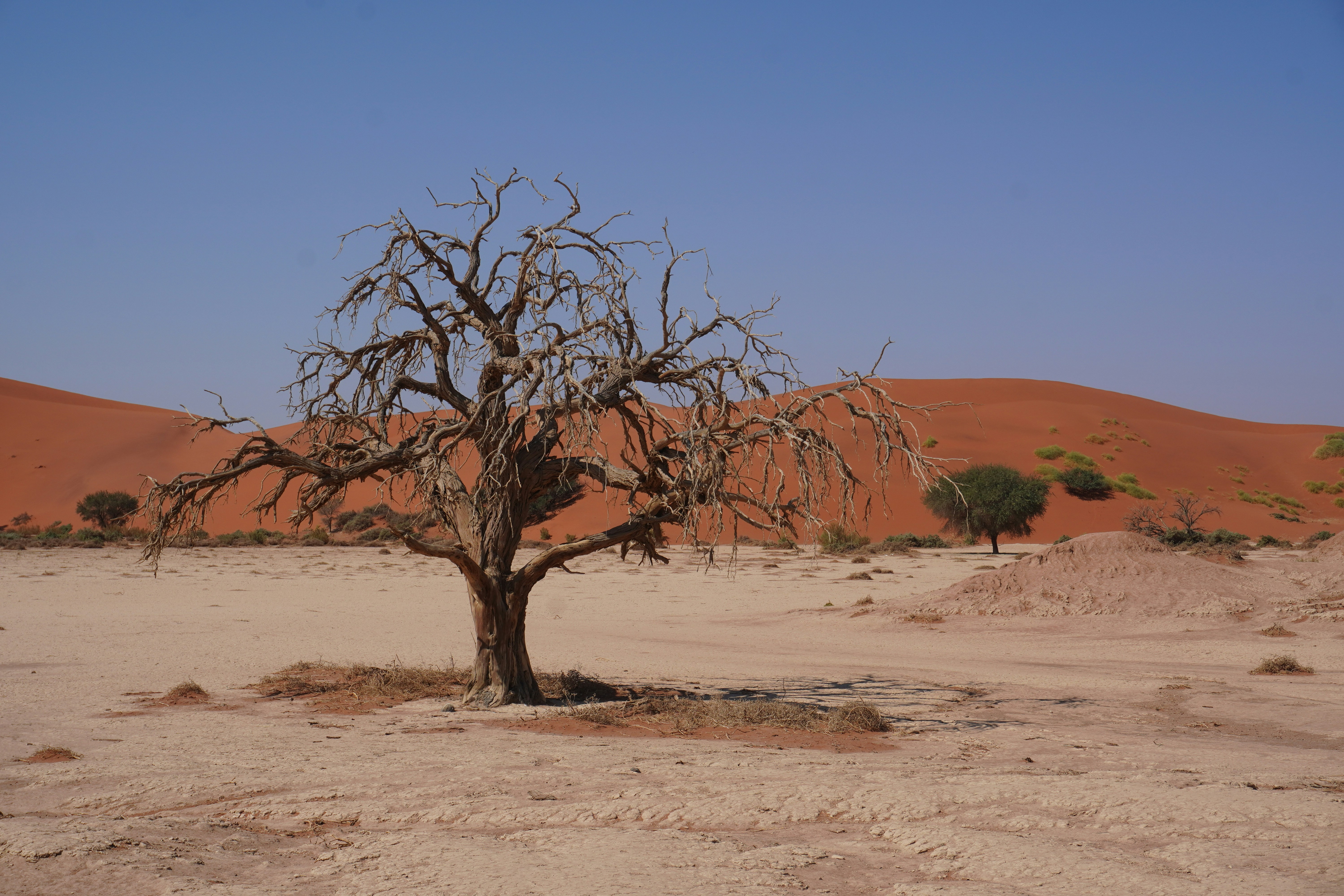 Photo by worldchris75