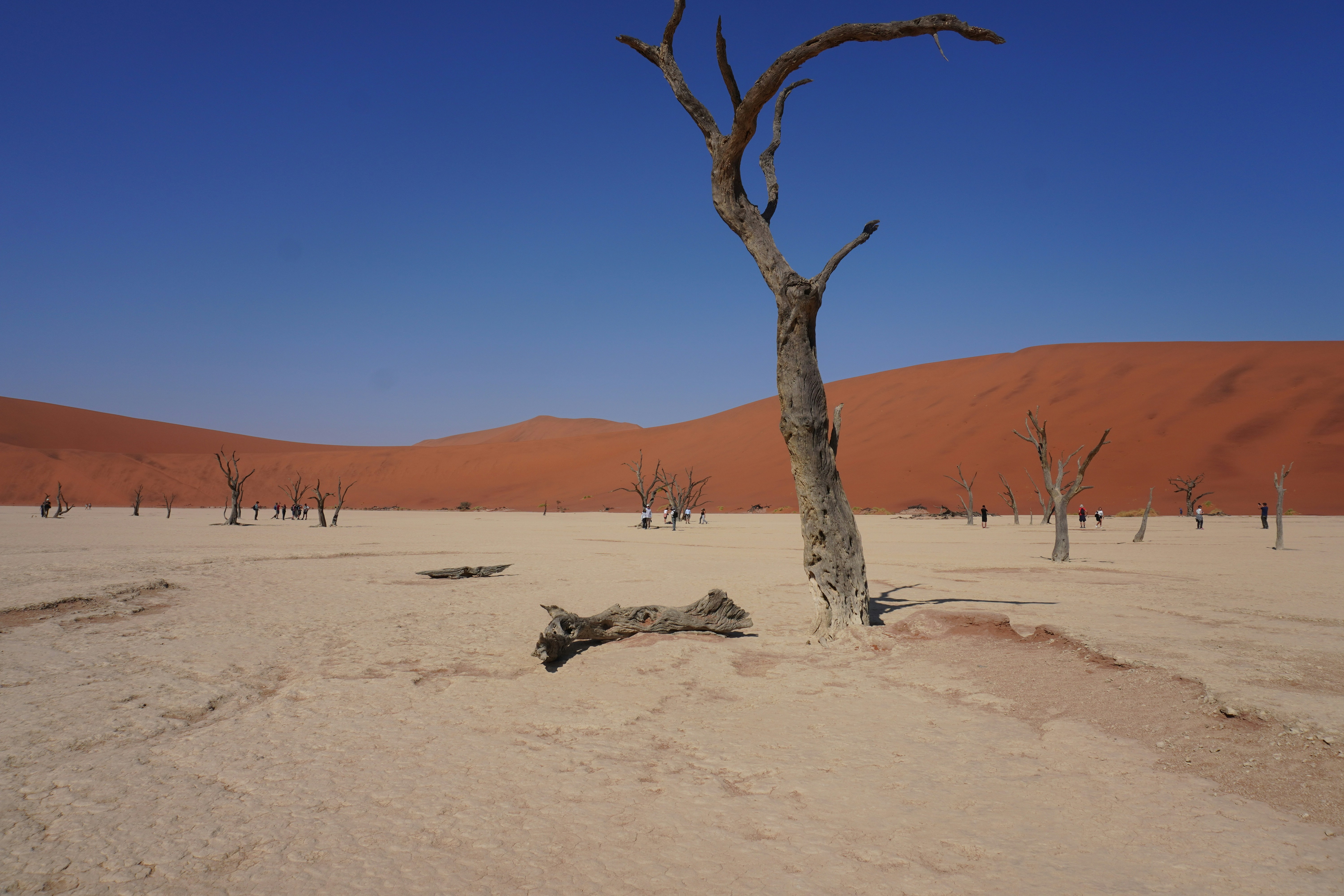 Photo by worldchris75