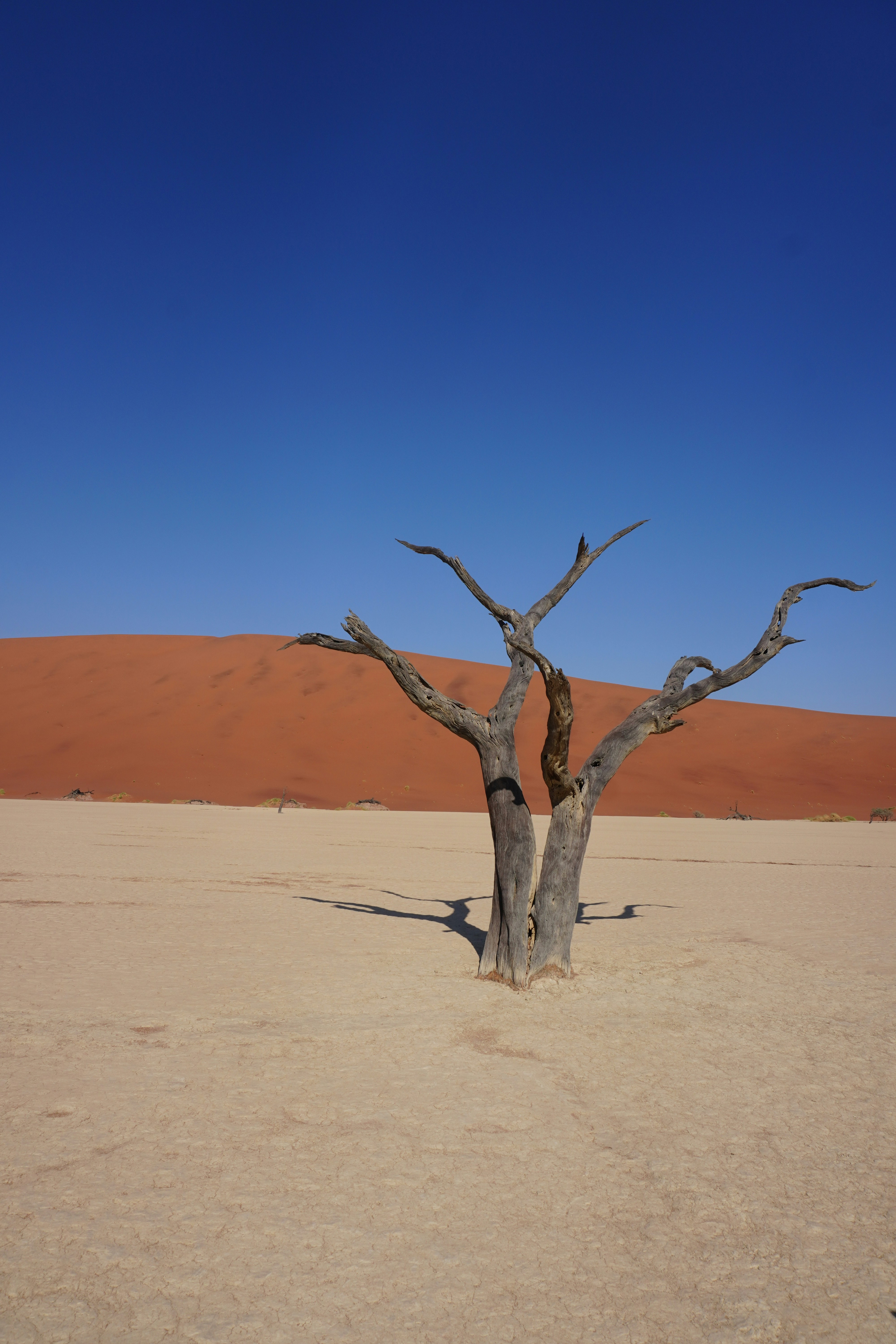 Photo by worldchris75