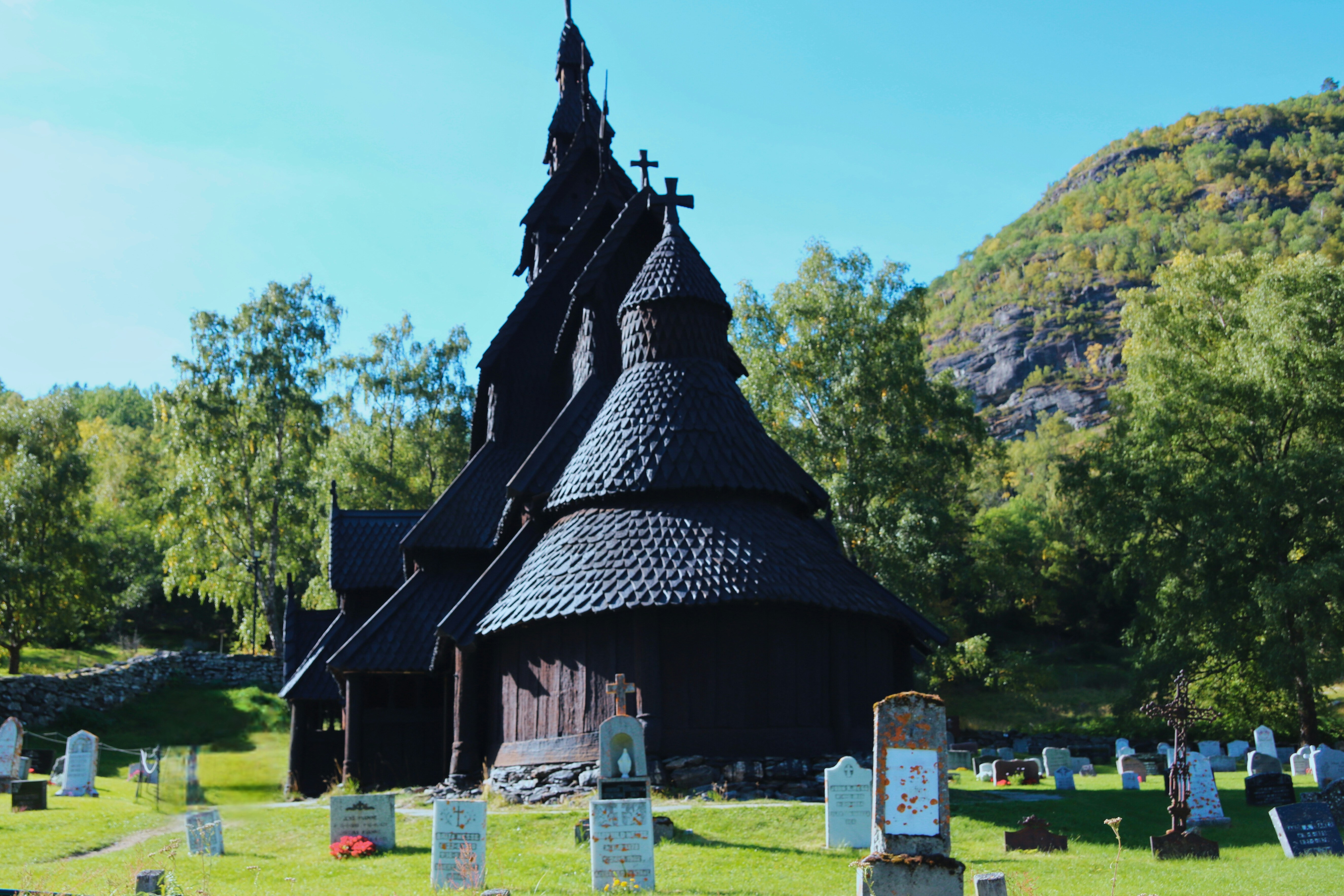 Photo by brunafisantos