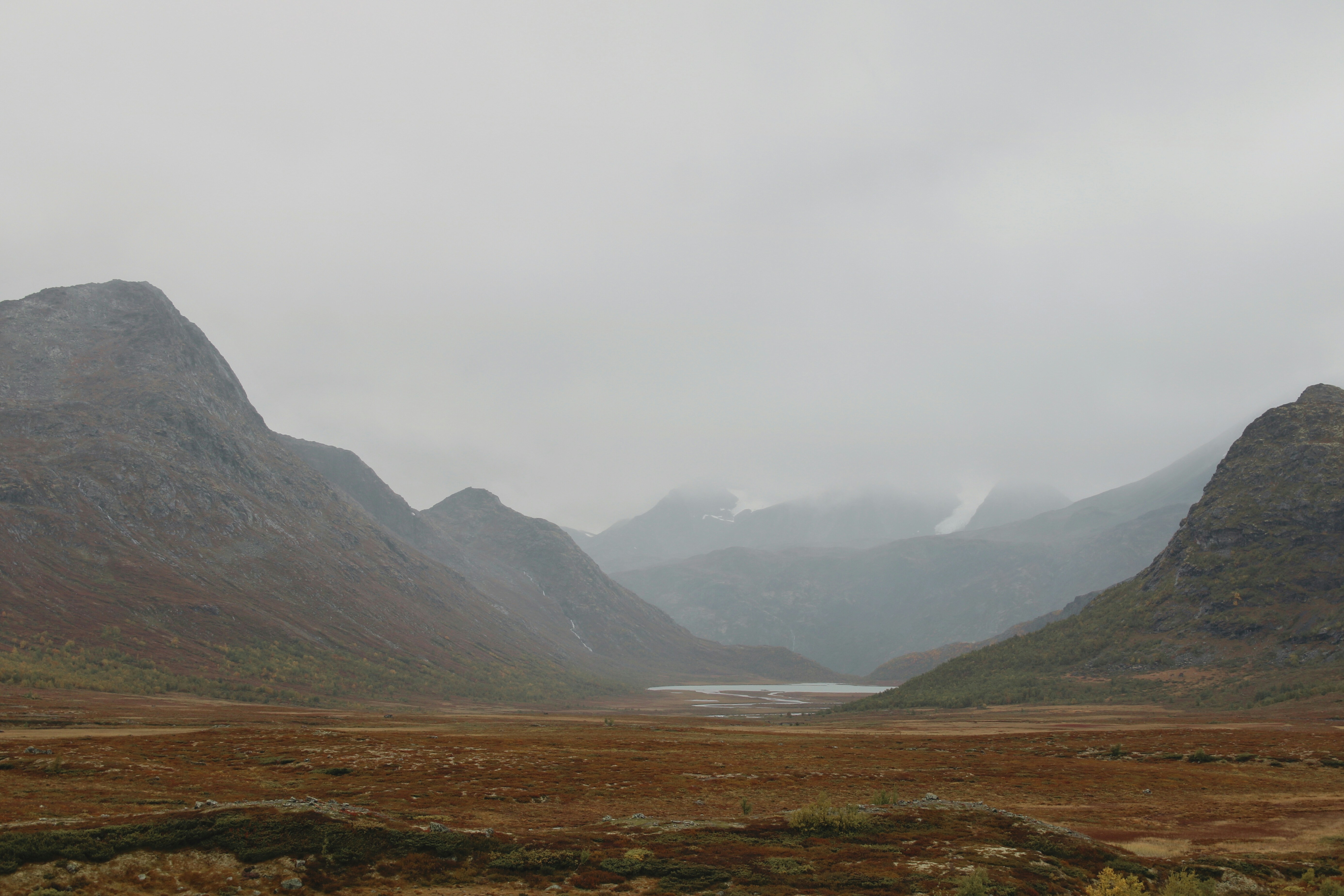 Photo by brunafisantos