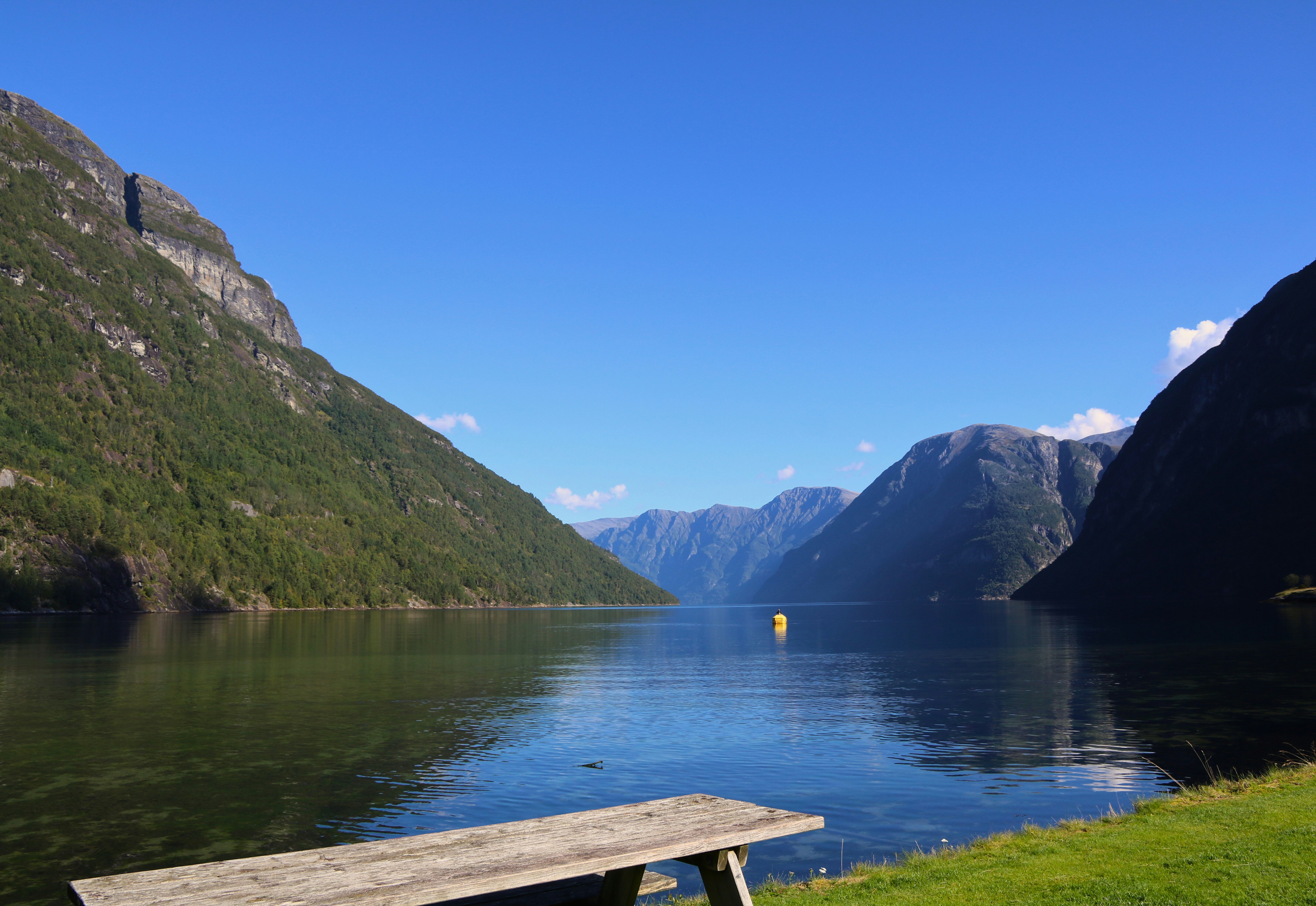 Photo by brunafisantos