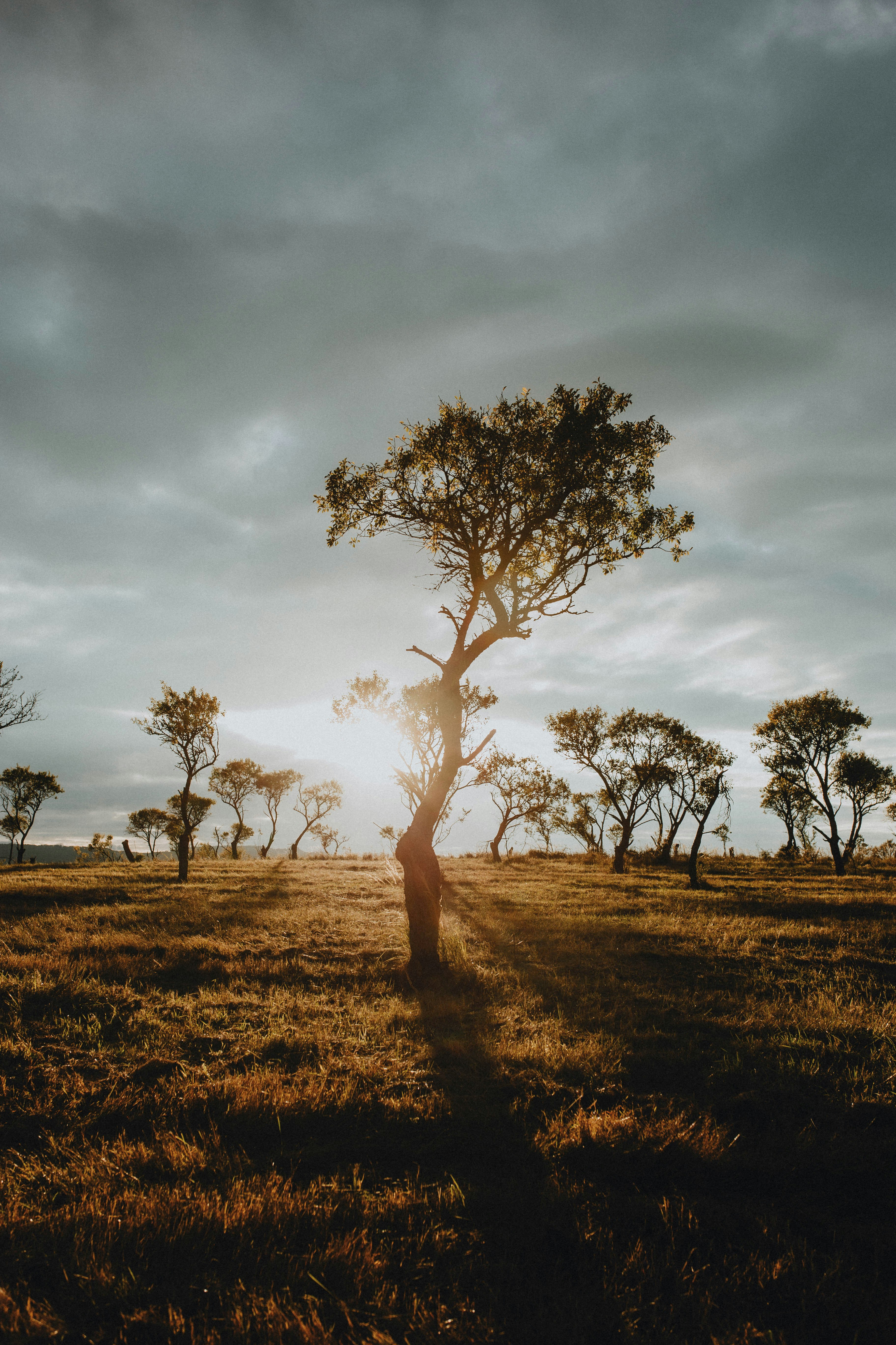 Photo by filipkvasnak