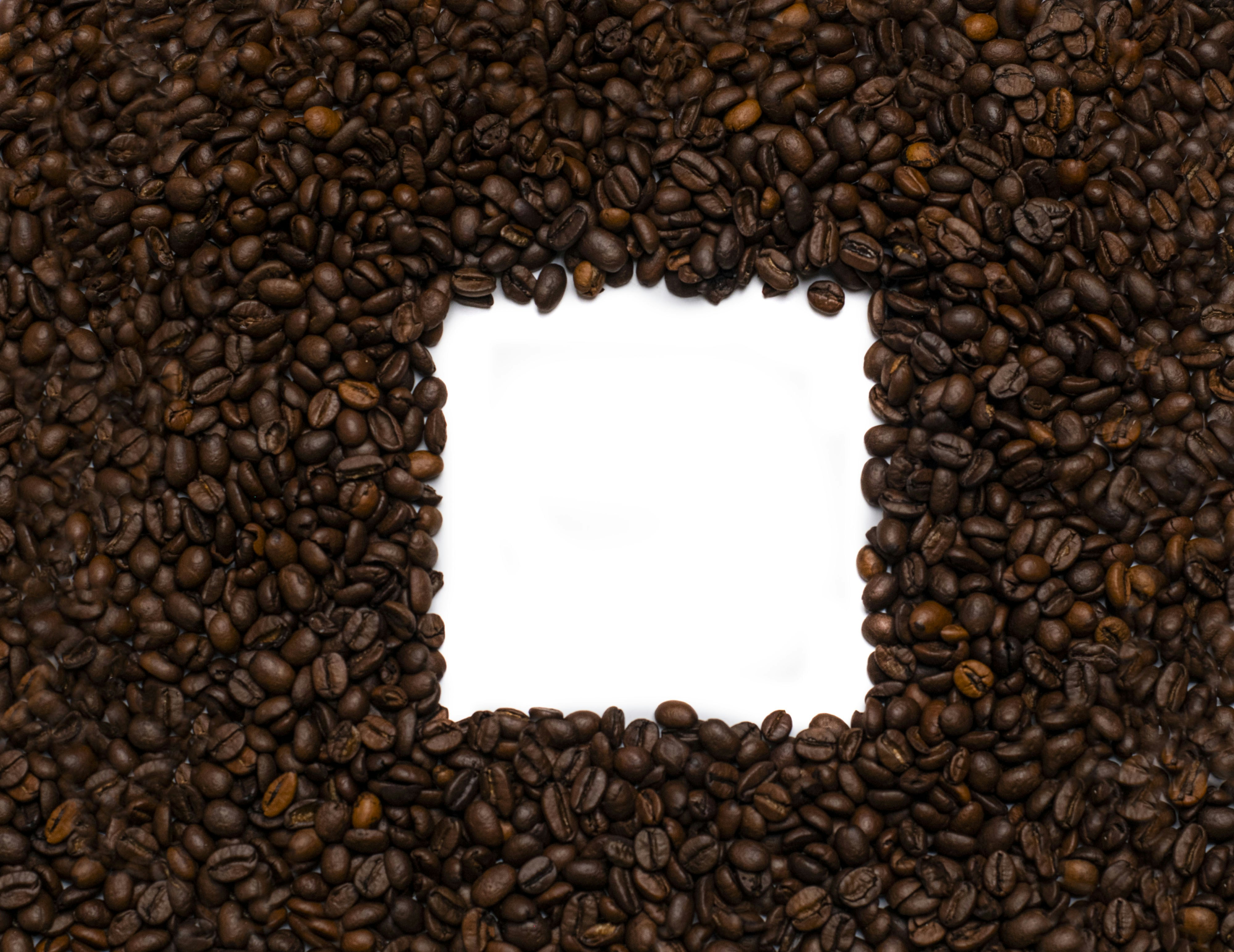 A white square in a pile of coffee beans photo – Free White Image on ...