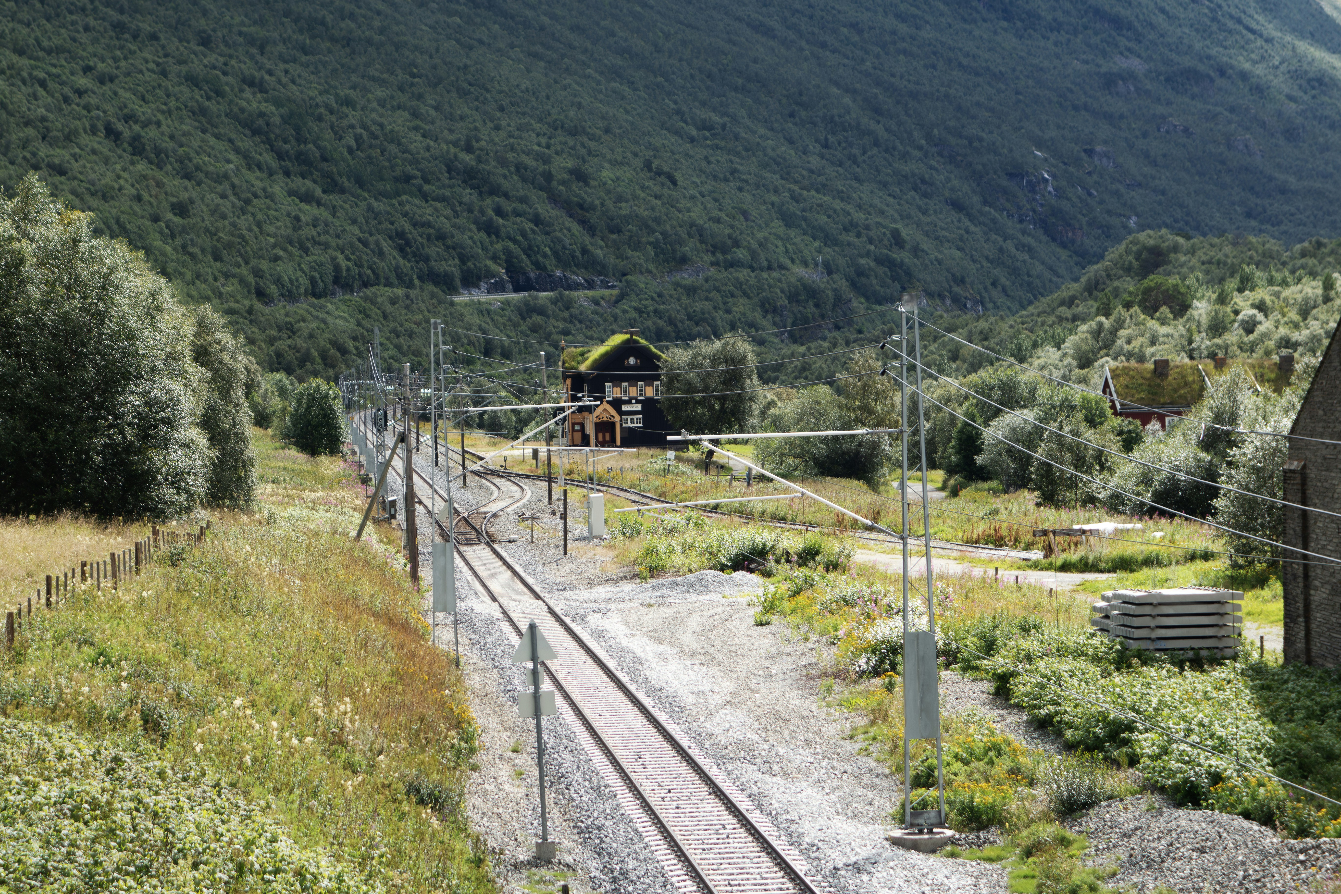 Un train qui sillonne une campagne verdoyante