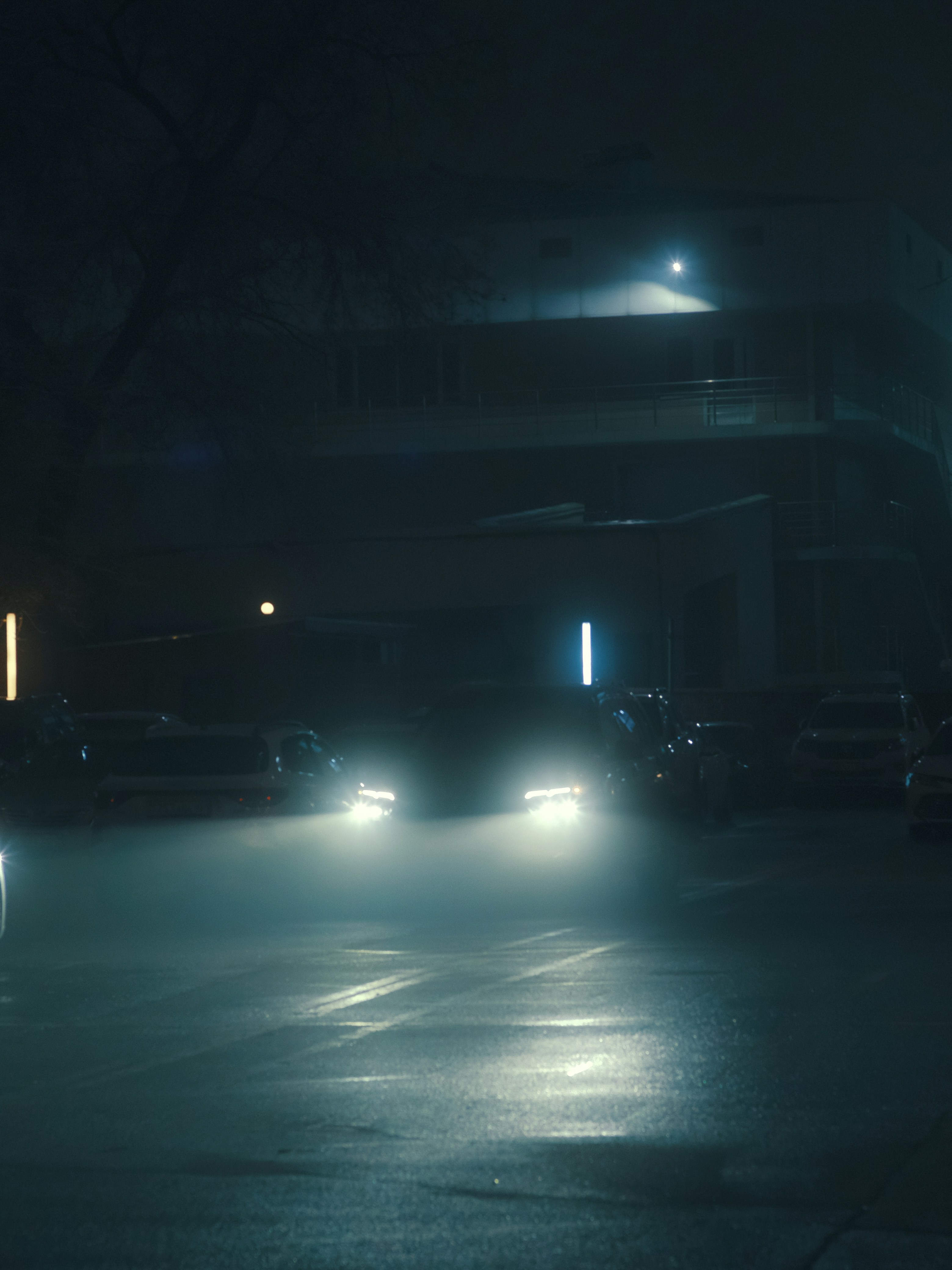 Photo by freethinkel