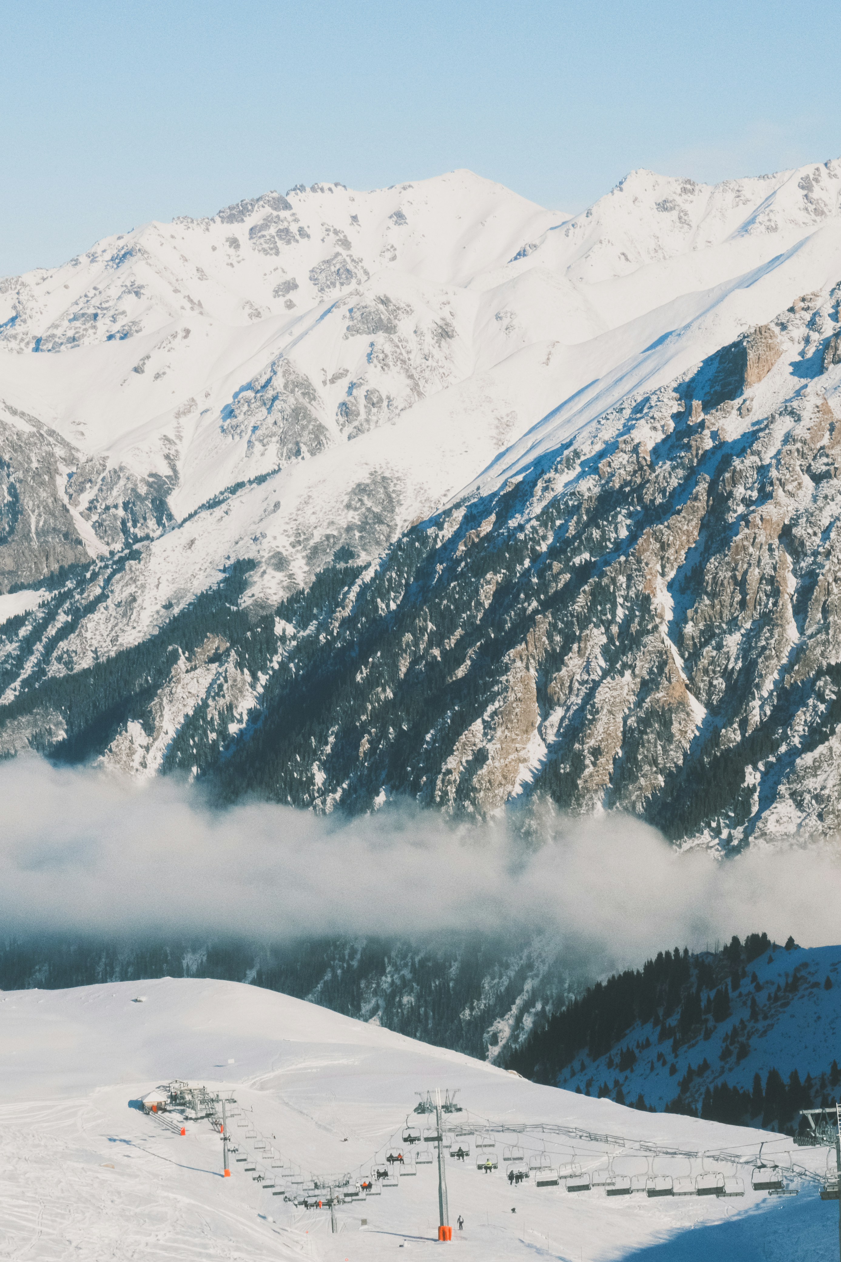 Photo by freethinkel