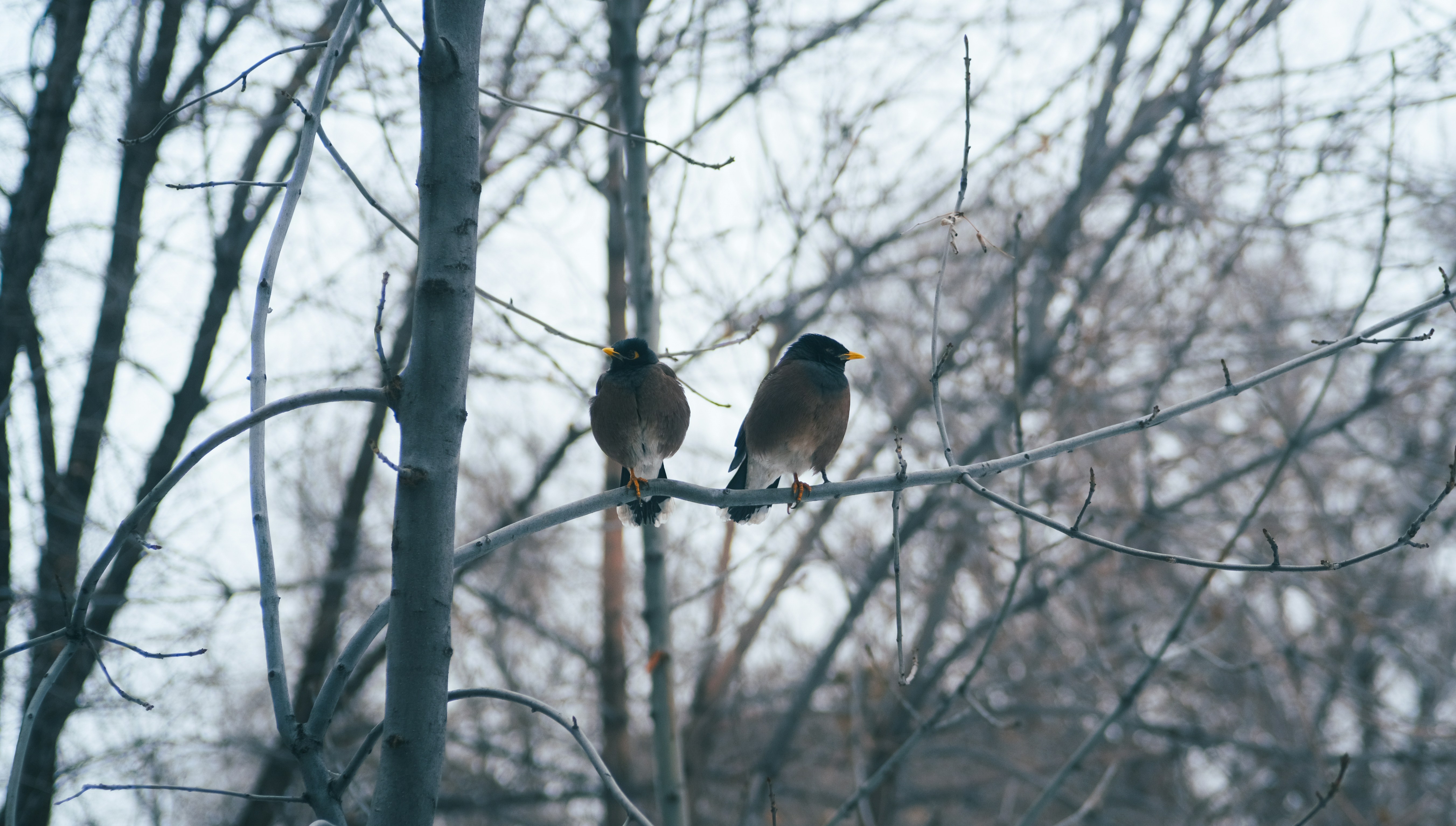 Photo by freethinkel