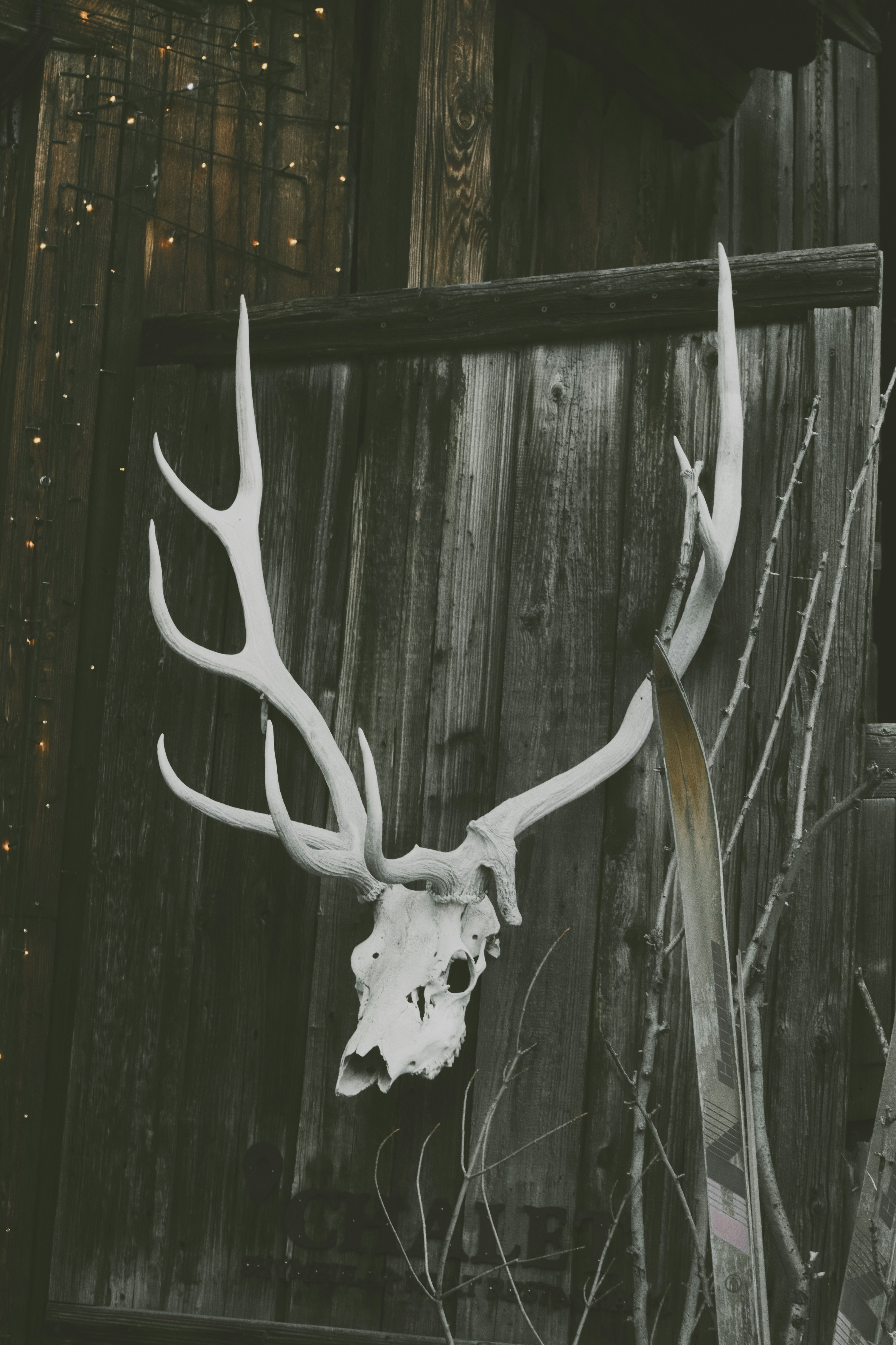 Photo by freethinkel