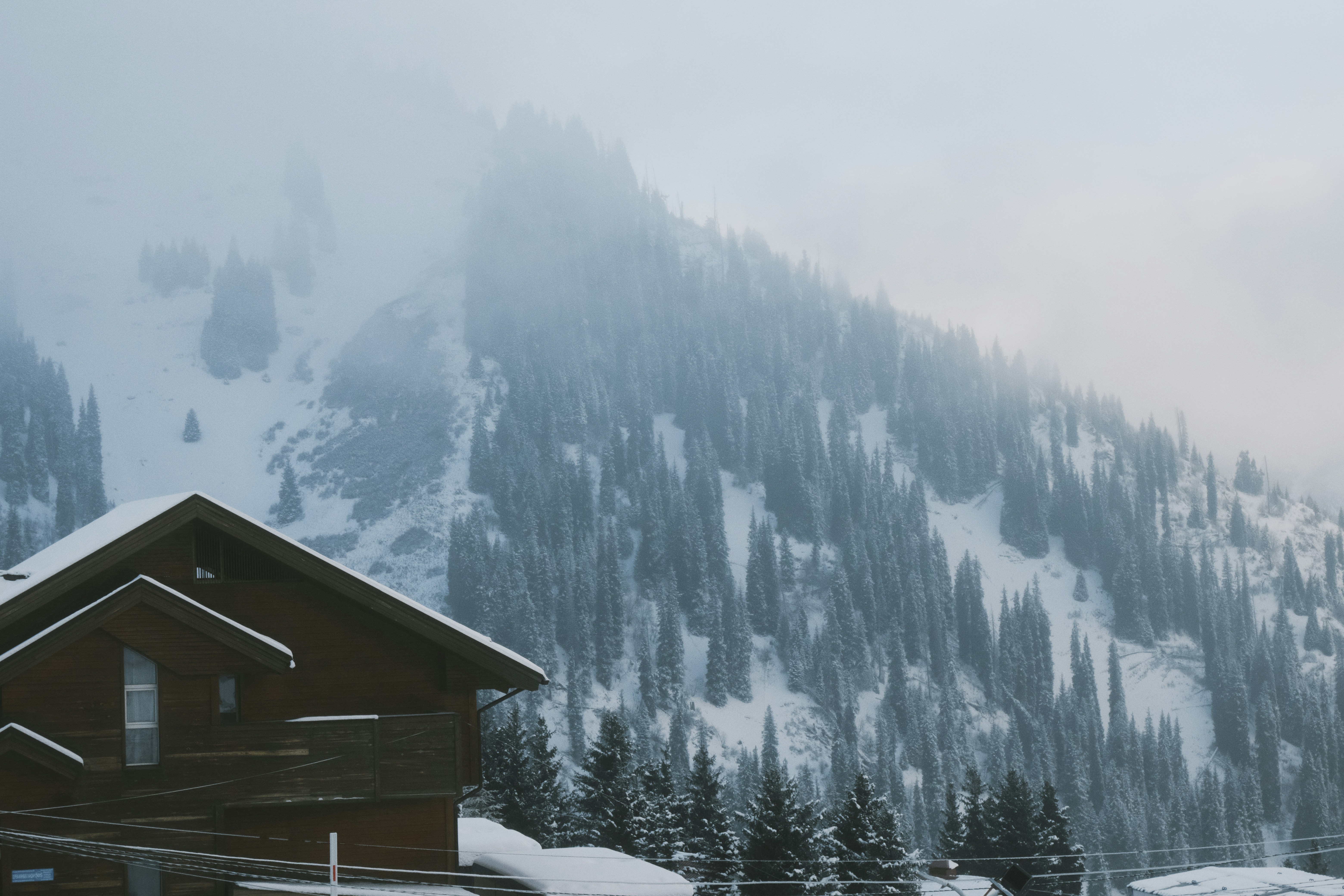 Photo by freethinkel