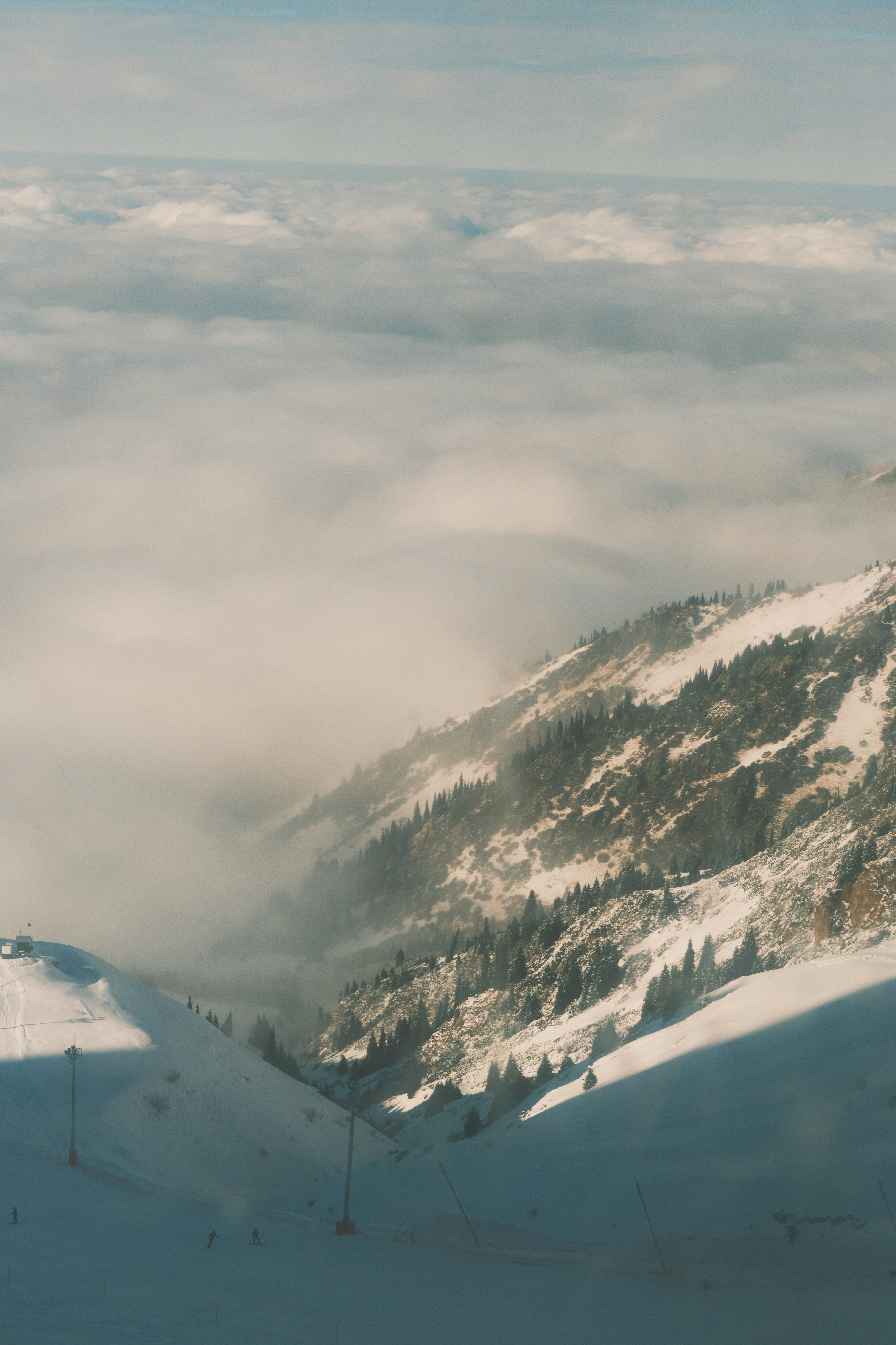 Photo by freethinkel