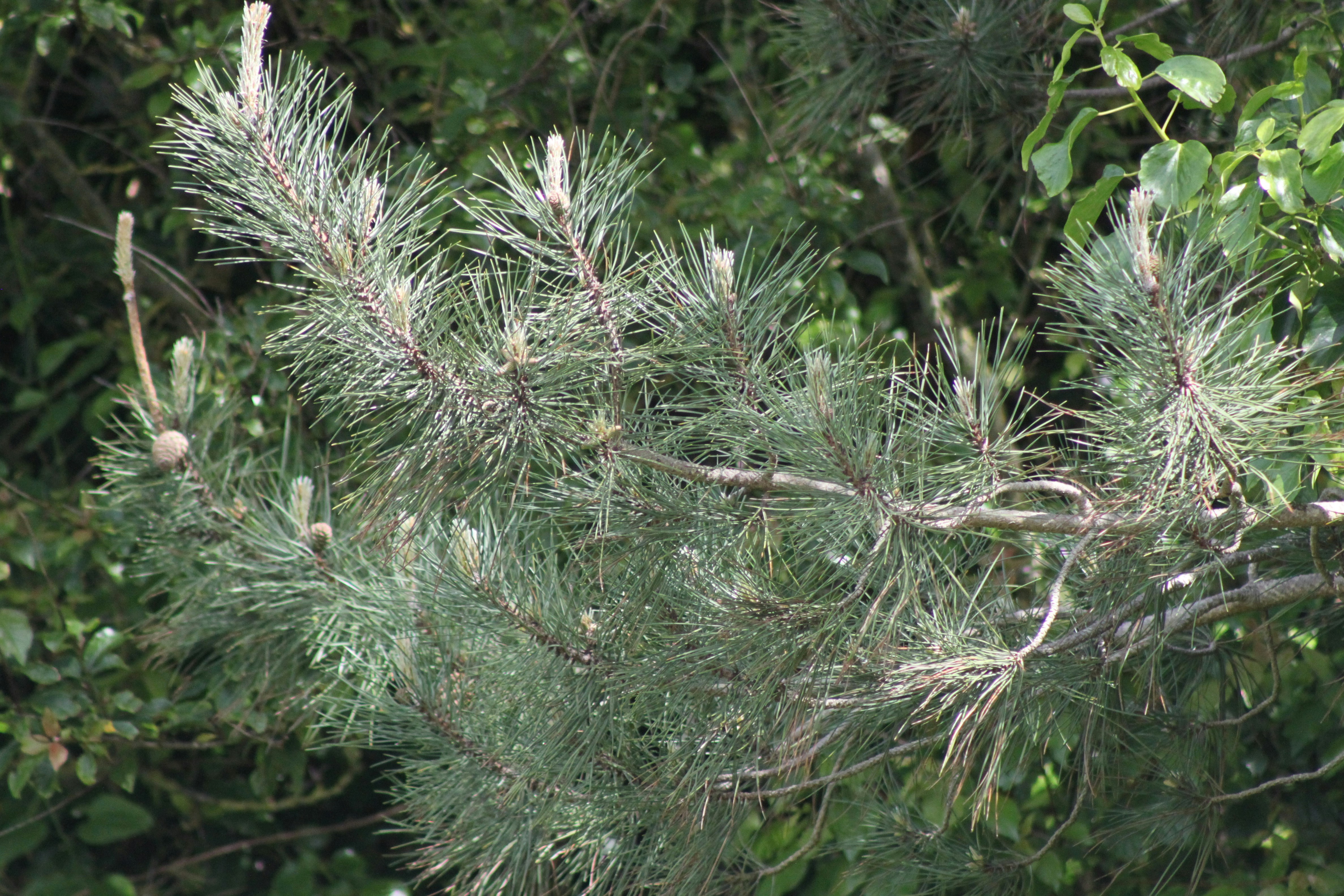 Photo by rubyphotography