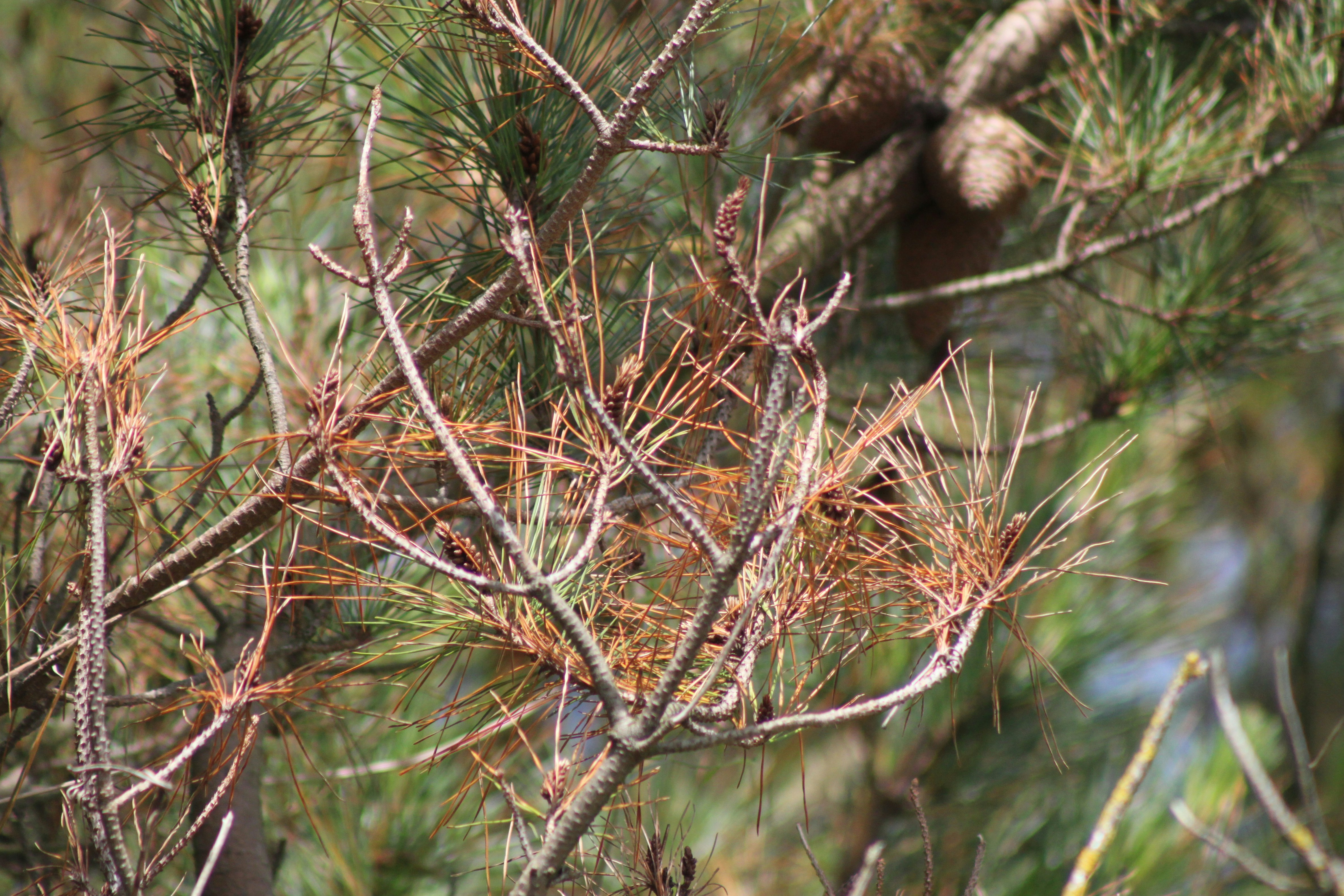 Photo by rubyphotography