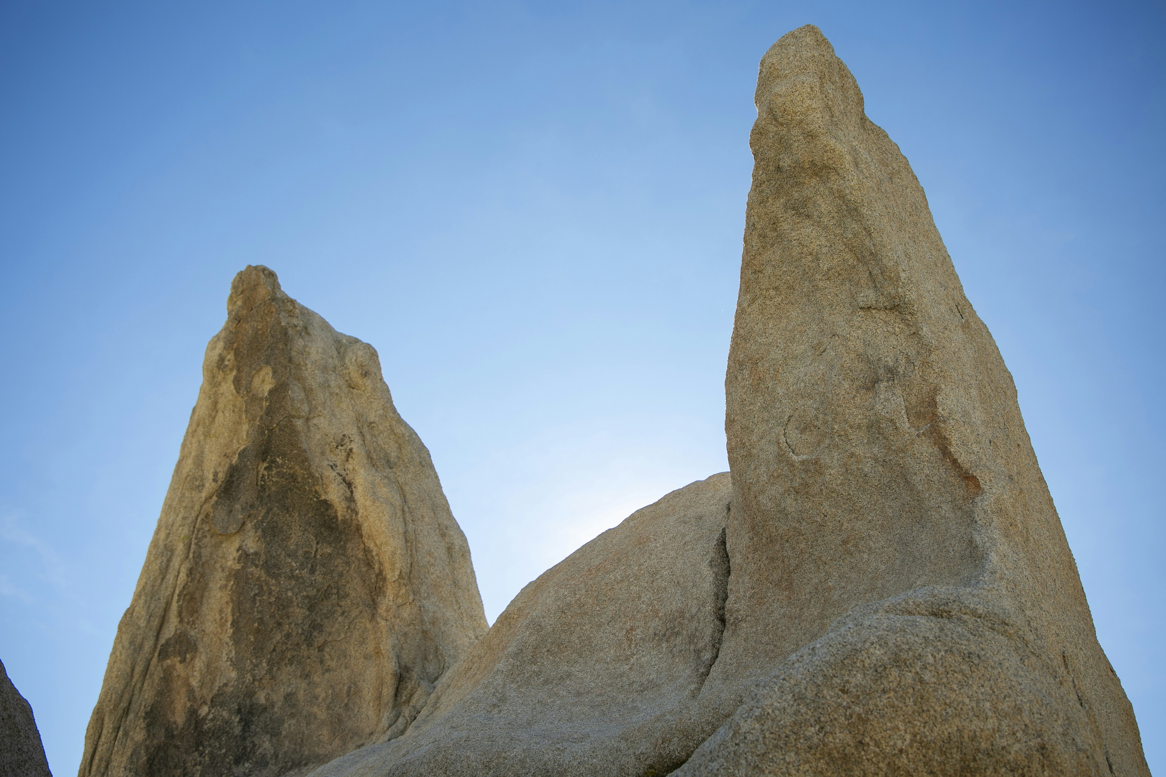 Photo by feliciamontenegro