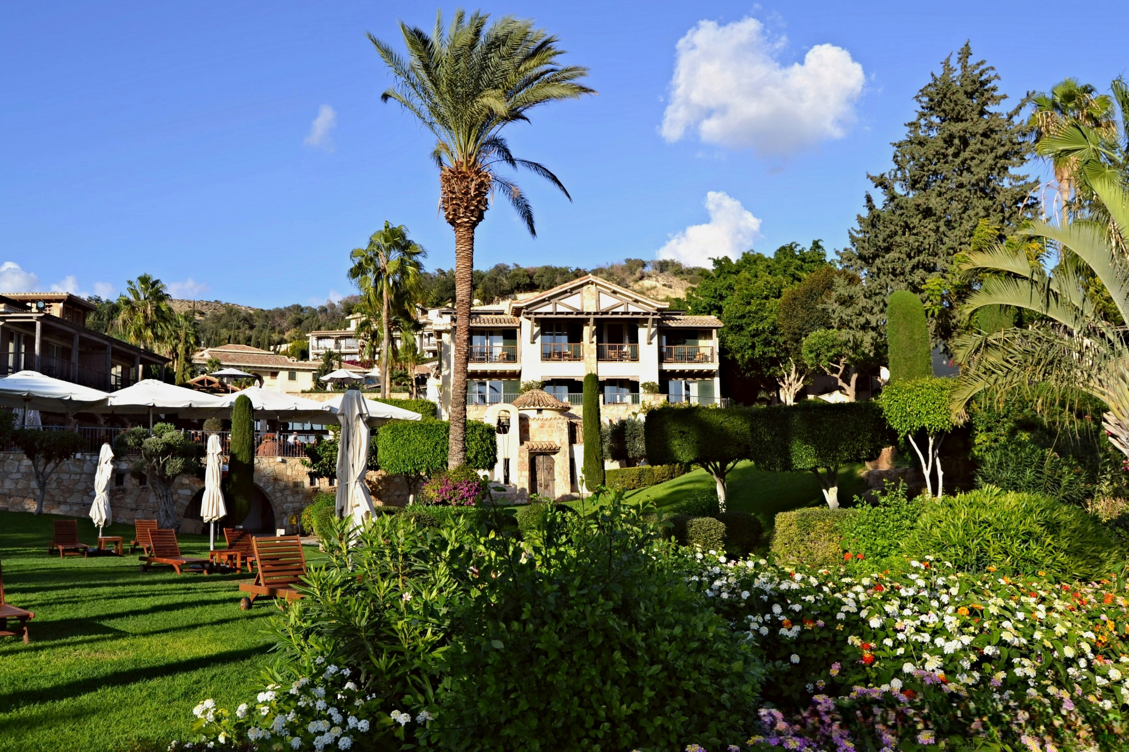 Photo by walkswithmycamera