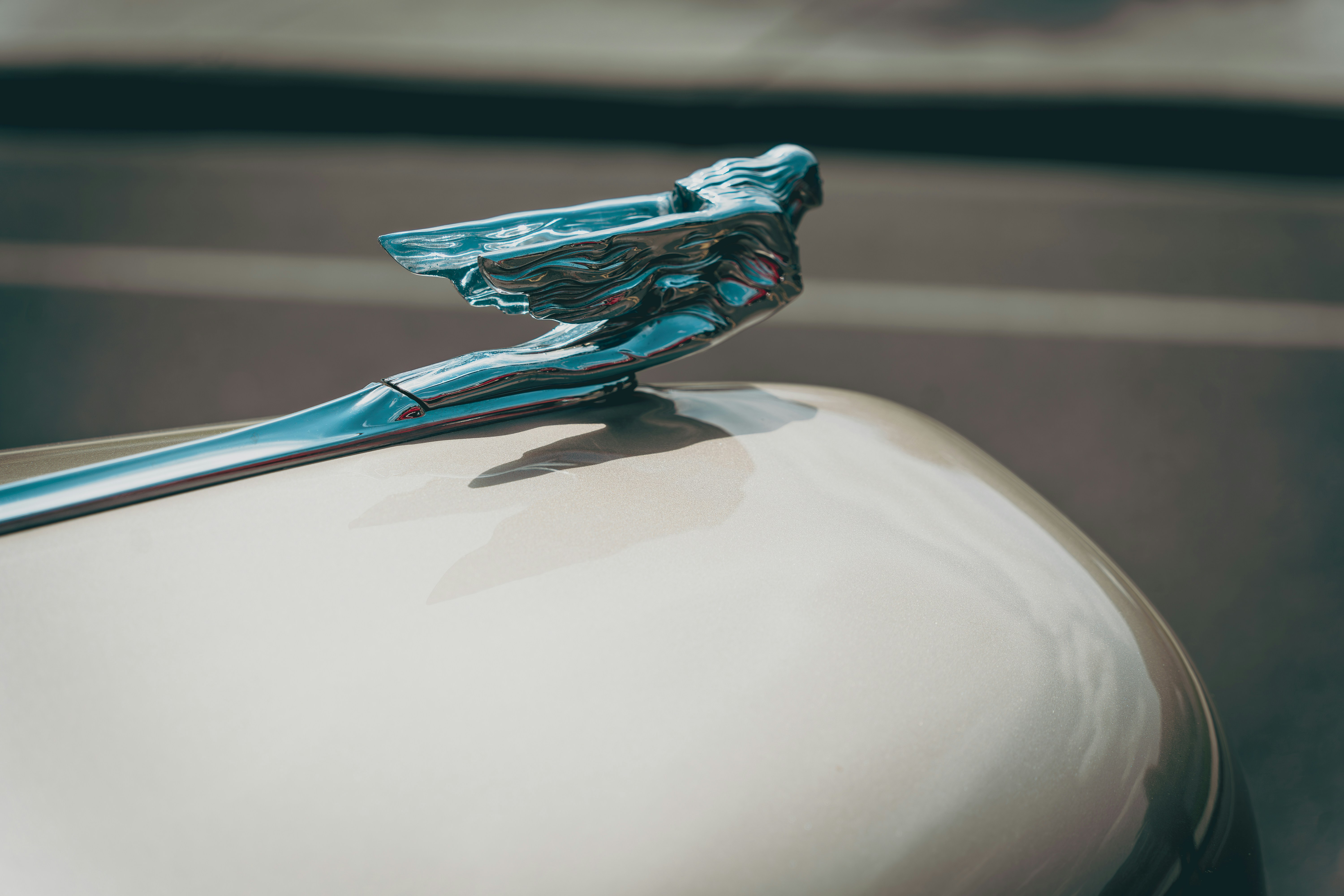 Photo by ghostdogg187