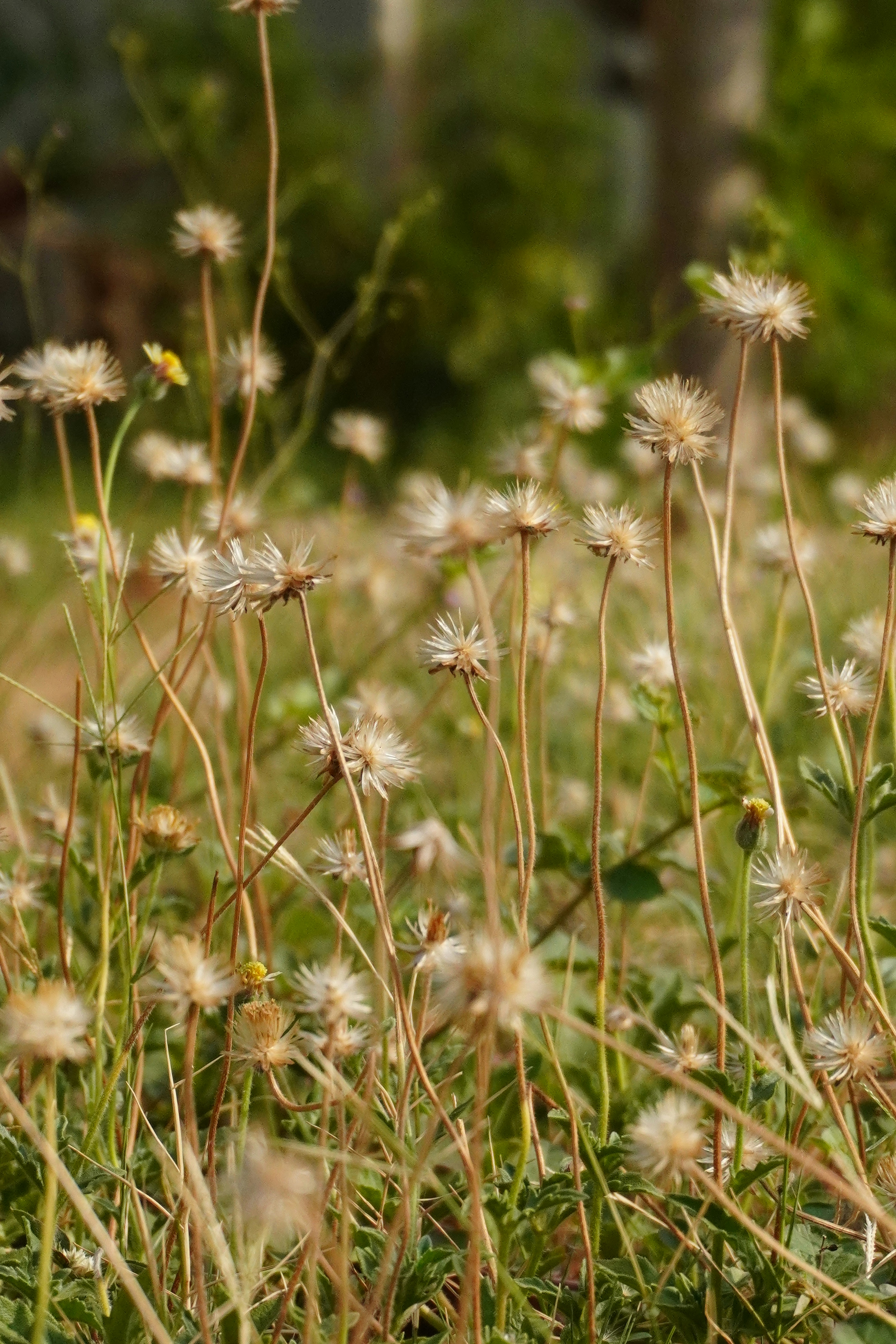 Photo by feel_this_moment