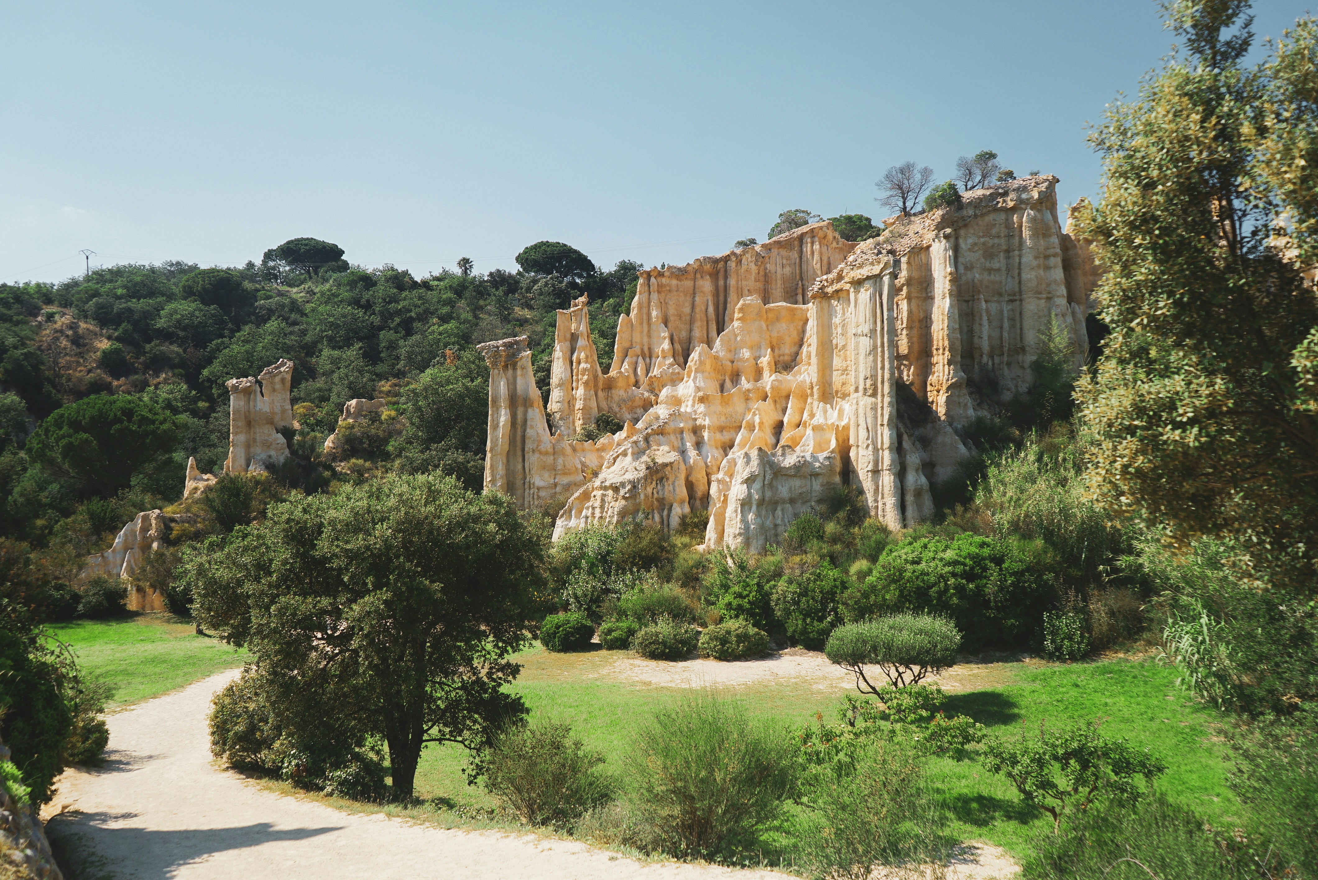 A dirt road surrounded by trees and rock formations