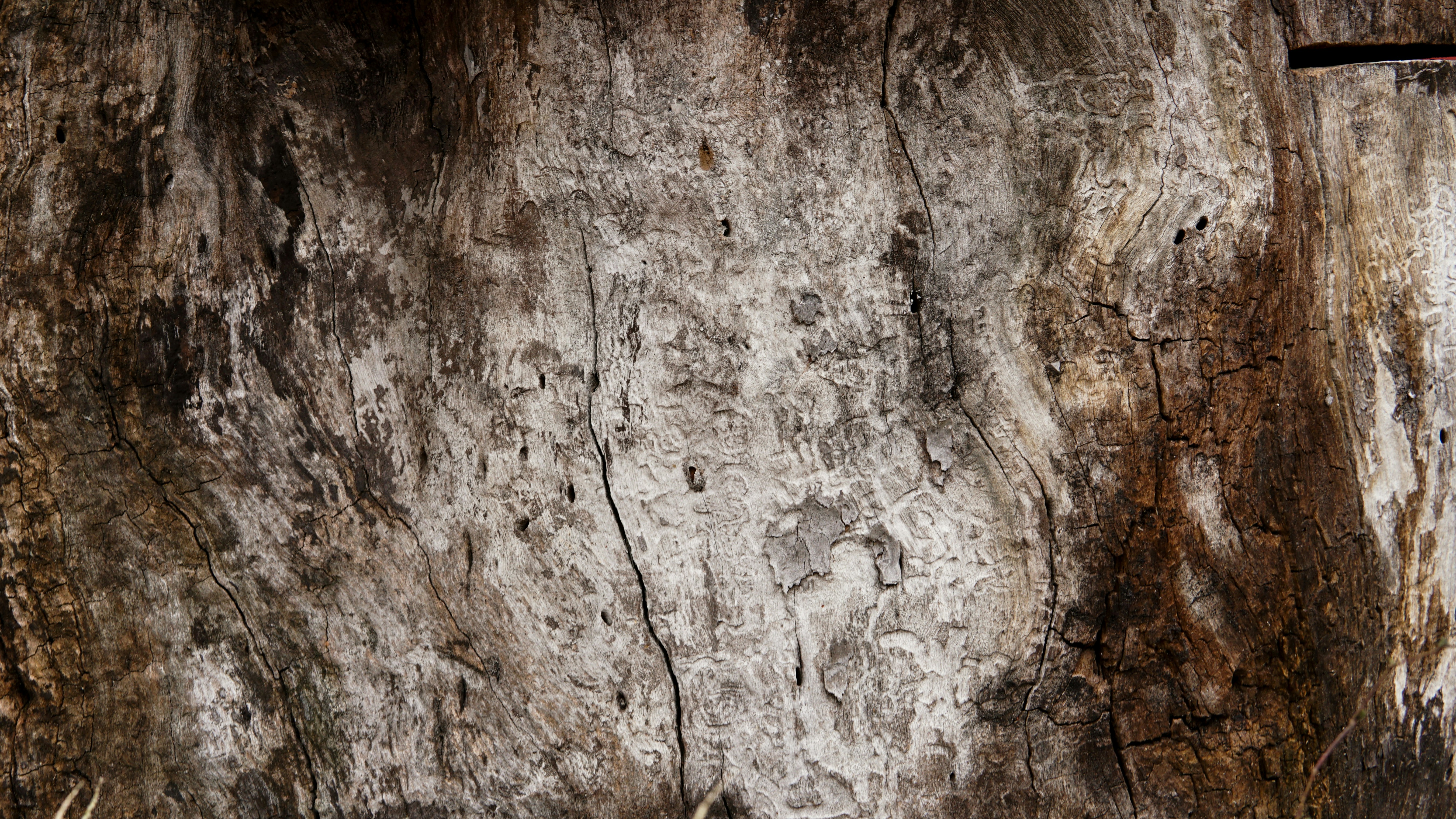 Photo by lukelis_film