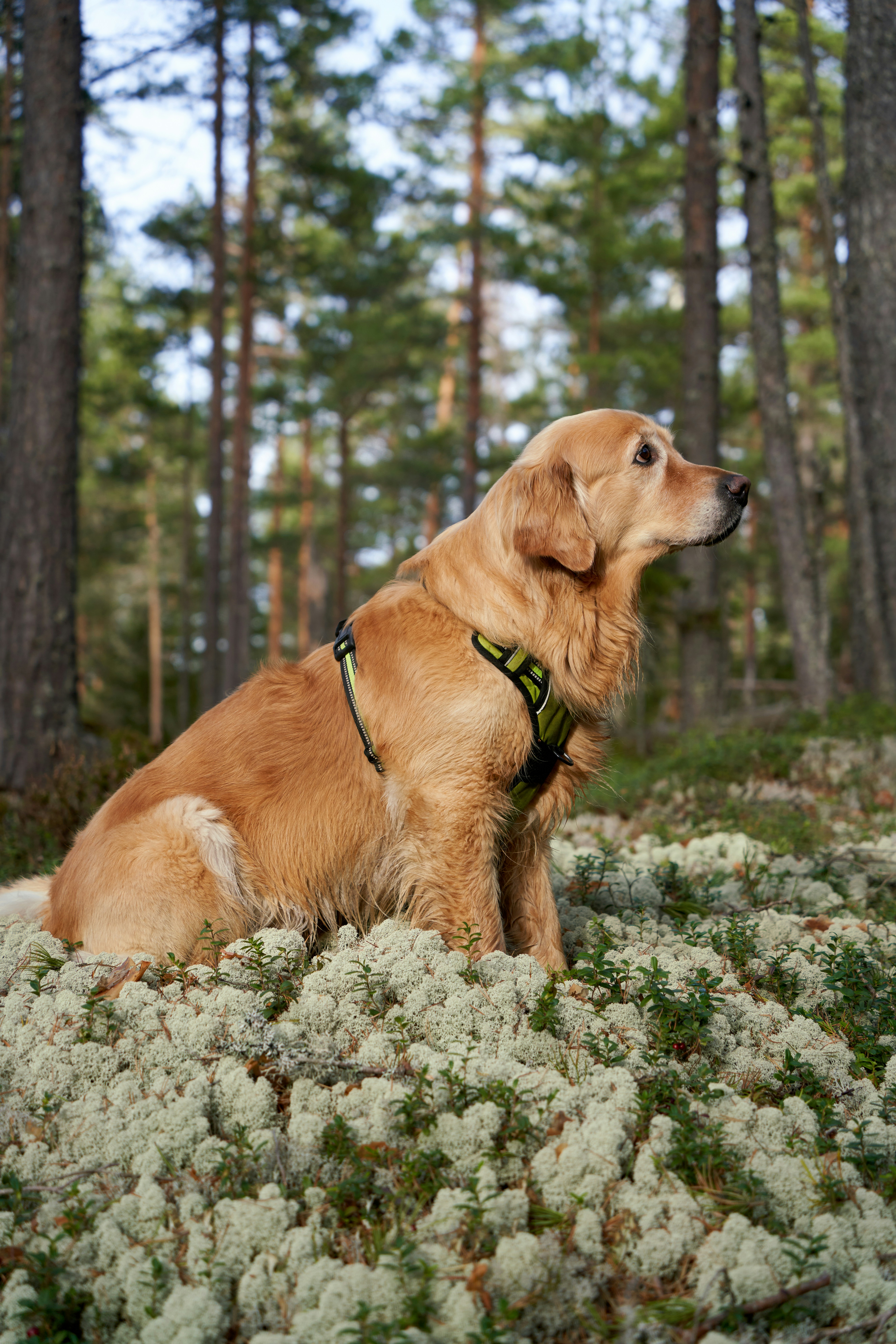 Photo by davotibarna