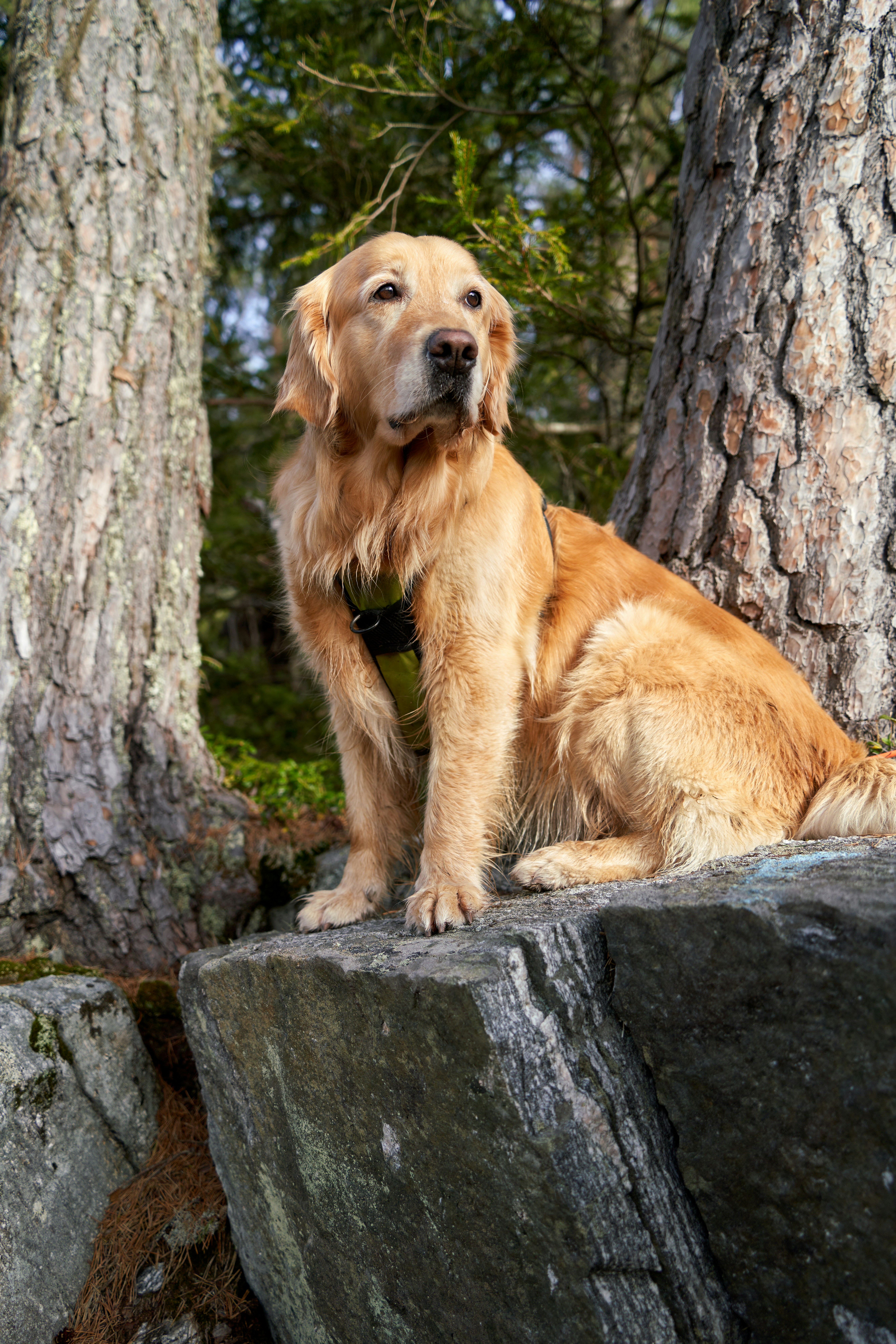 Photo by davotibarna