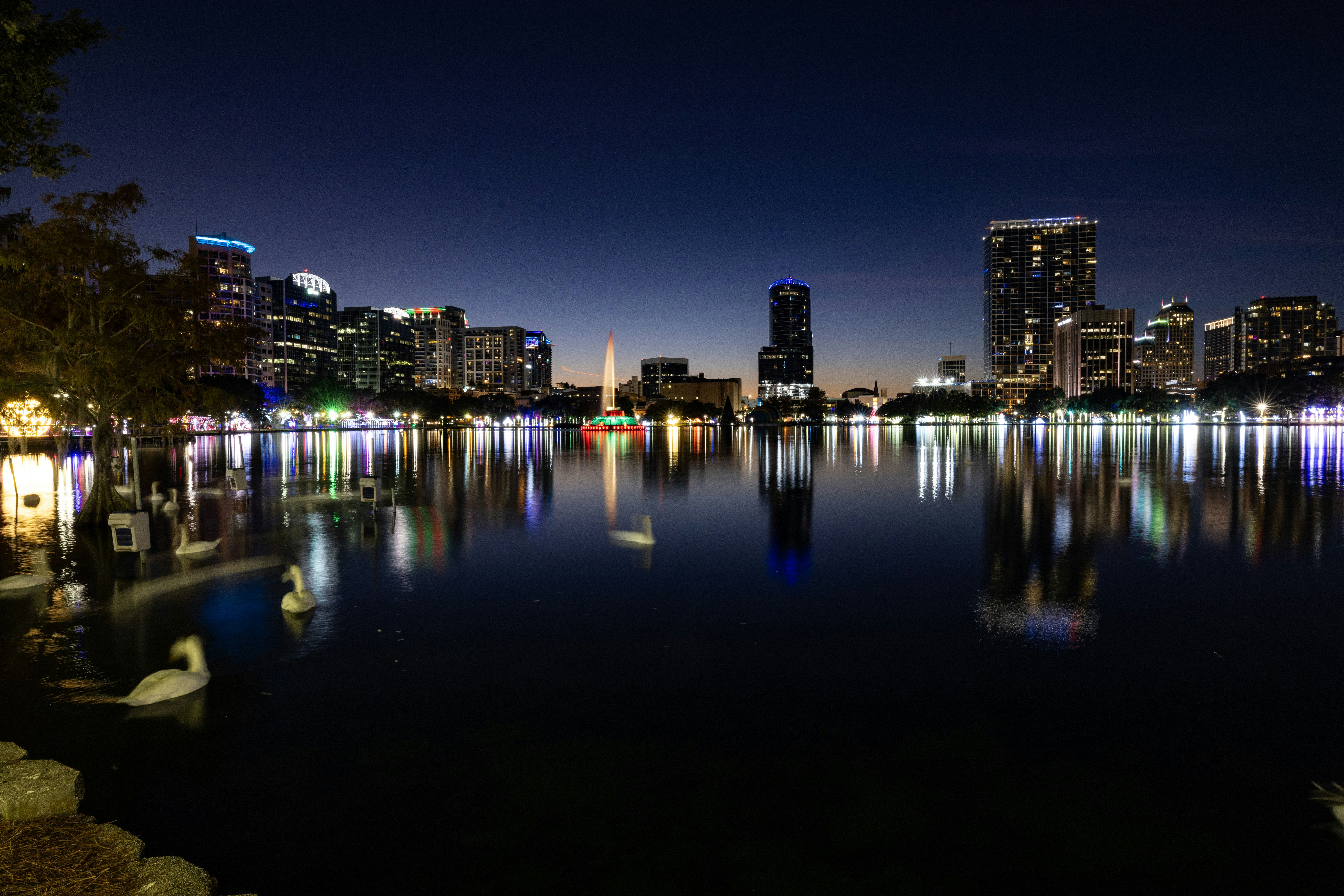 Photo by rocinante_11