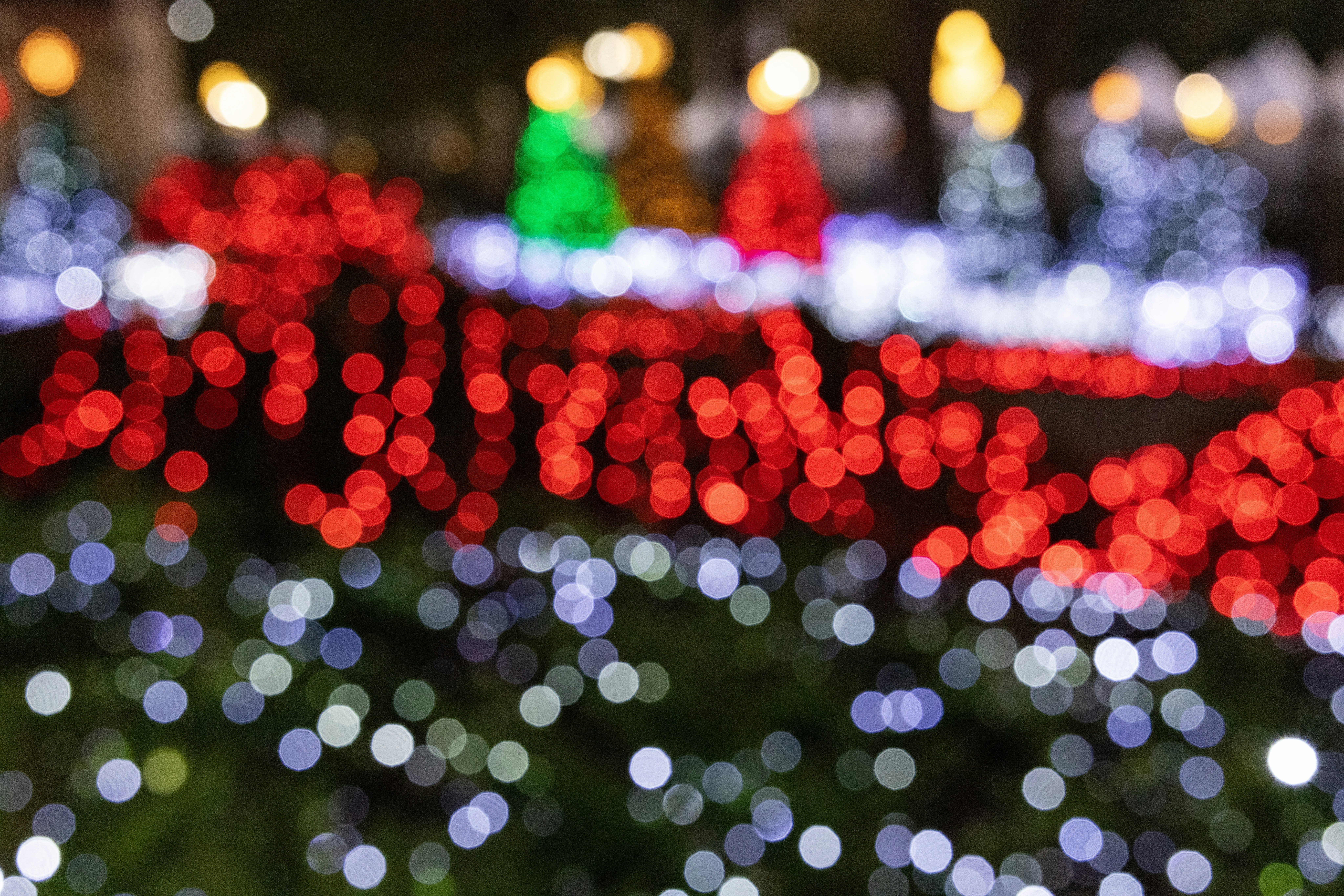 Photo by rocinante_11