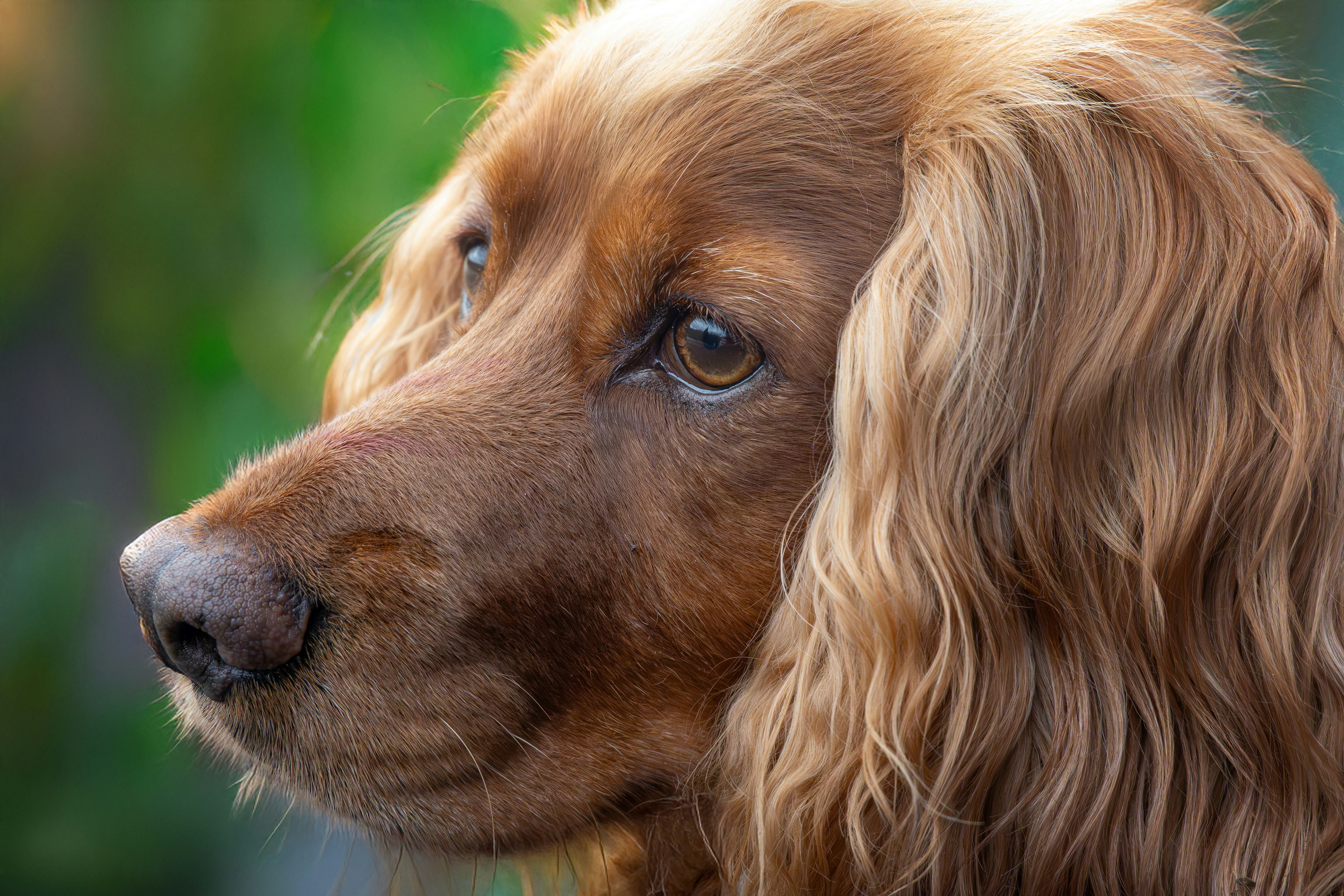 Photo by philrobson100