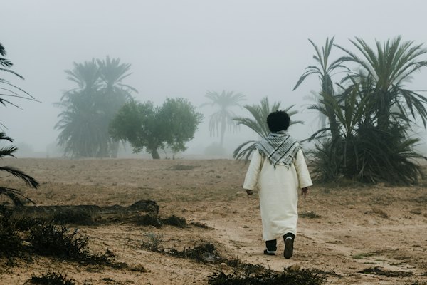 A walker among the palms in a morning haze — Djerba, Tunisia