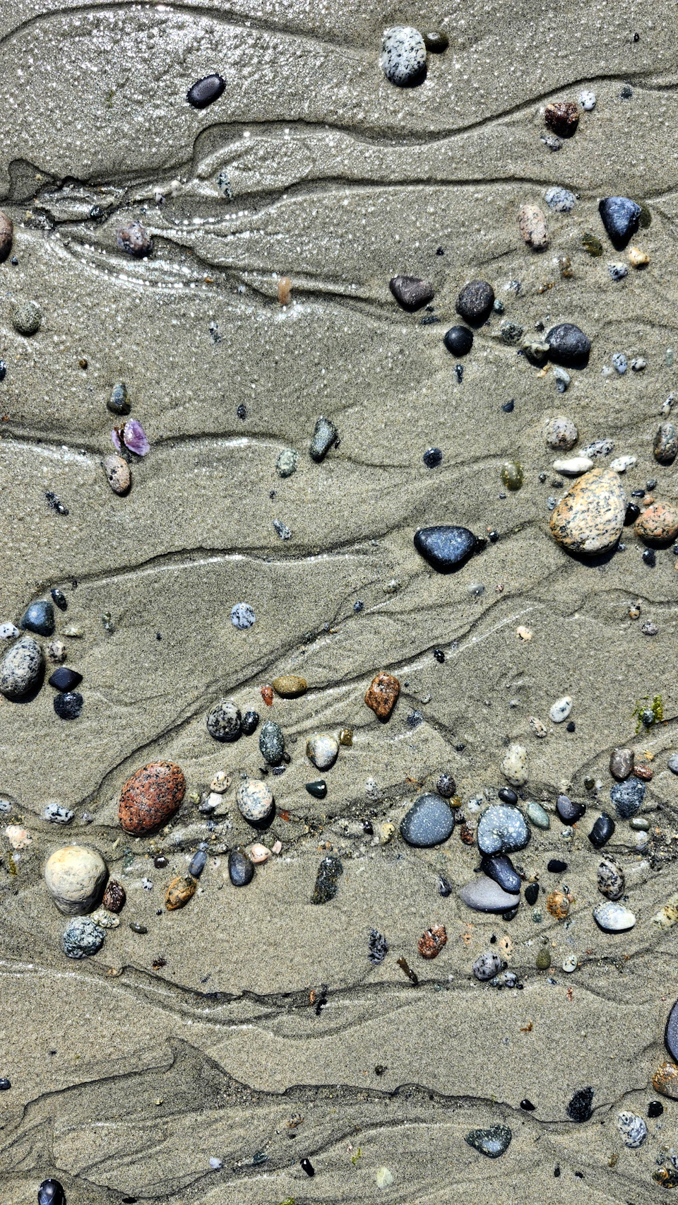 Close-up view of a sandy beach with small rocks and pebbles scattered across its surface