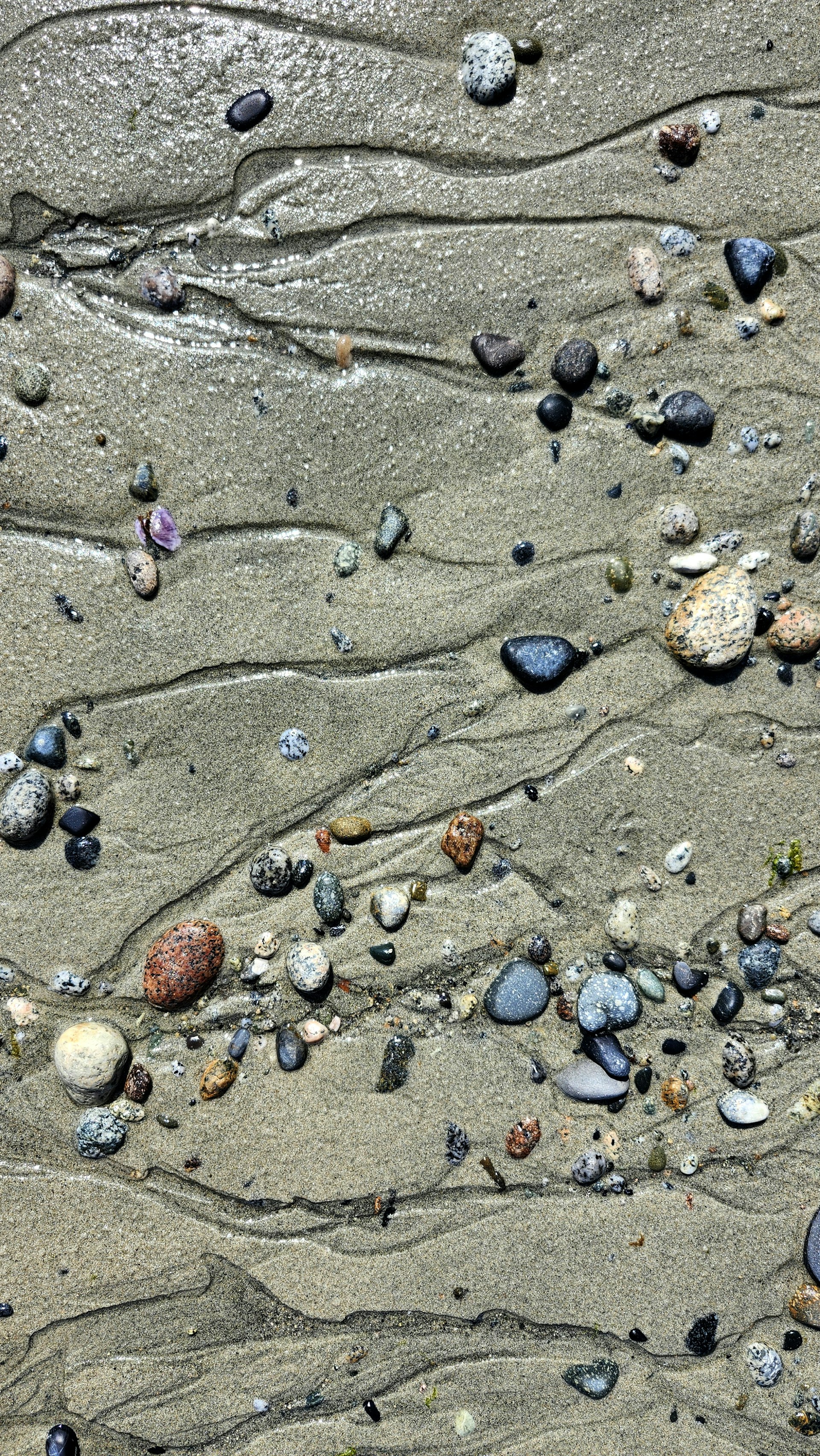 A sandy beach covered in lots of small rocks