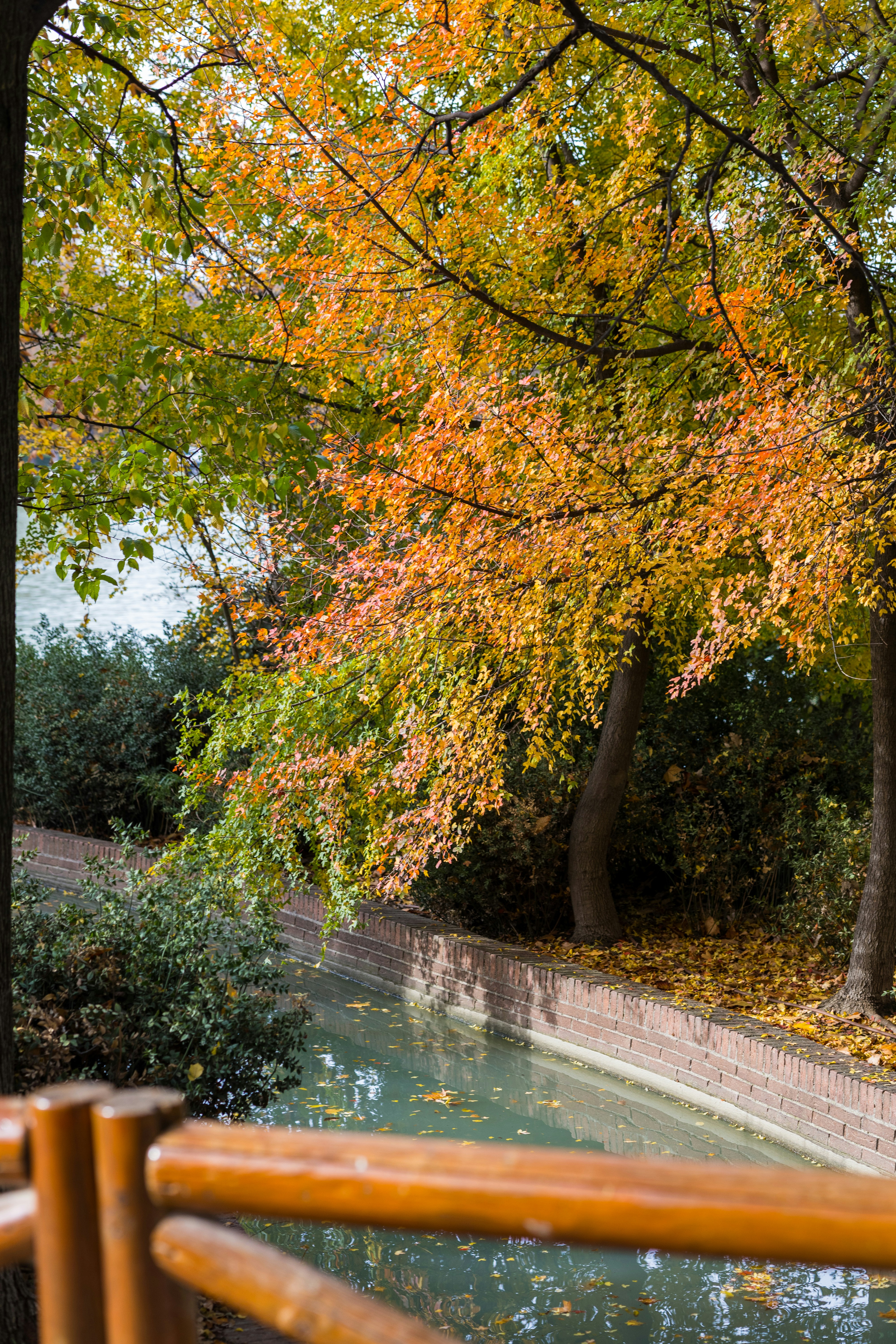 Photo by goosepicklefire