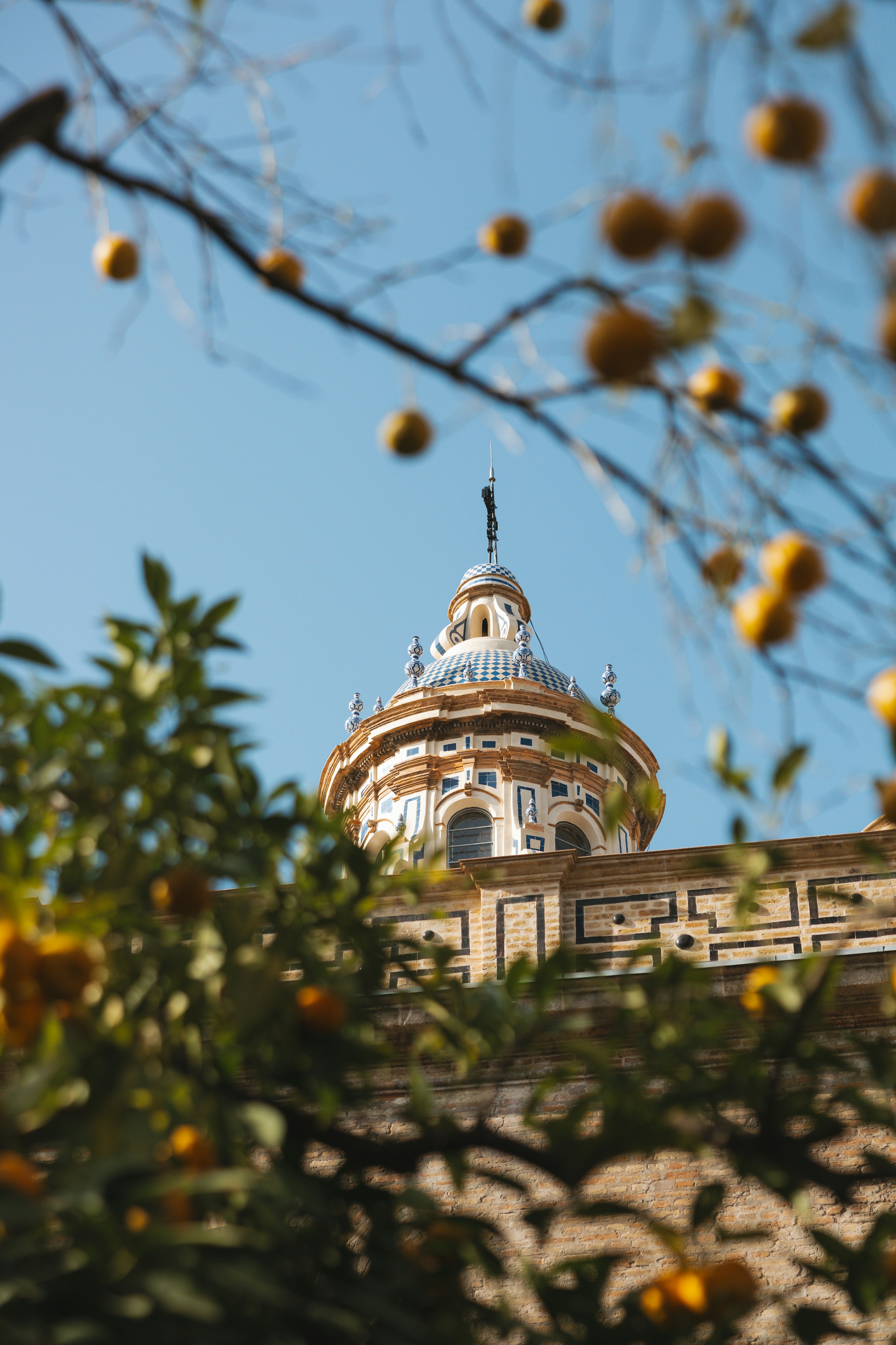 Photo by goosepicklefire