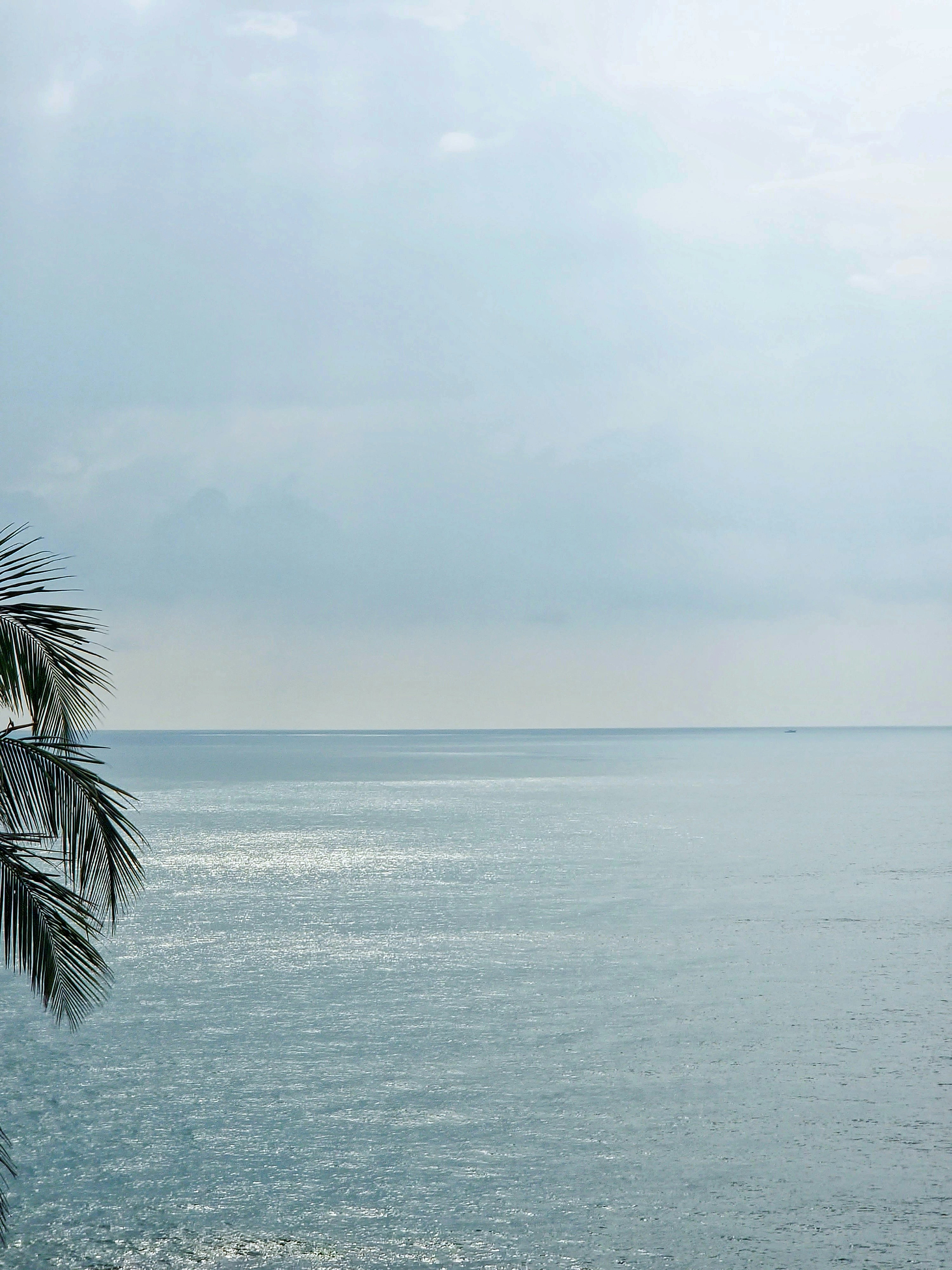 Photo by vaibhavsalvi