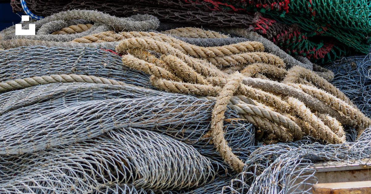 La Capitaneria rinviene reti da pesca illegali nel porto di Giovinazzo La Capitaneria rinviene reti da pesca illegali nel porto di Giovinazzo