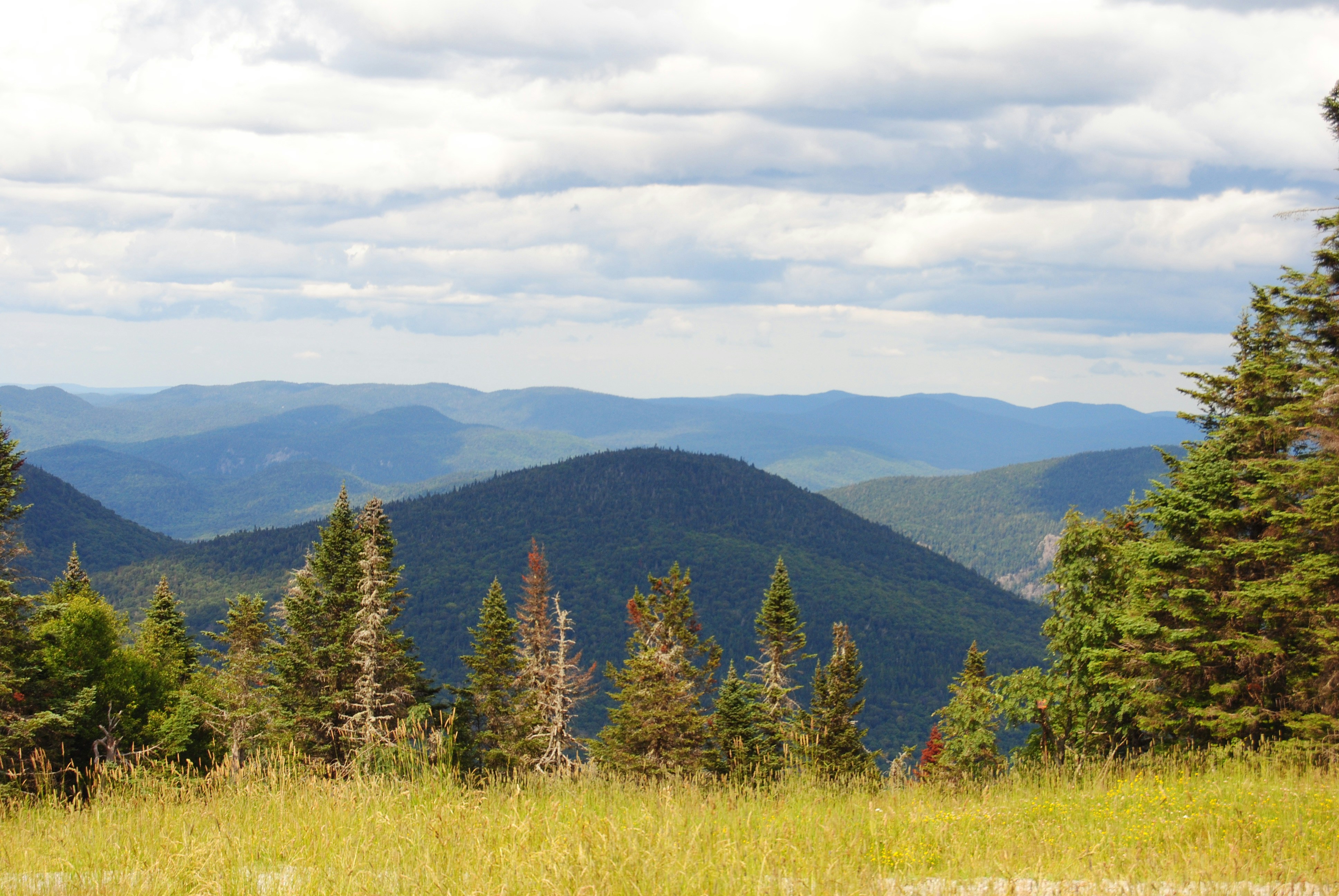 Photo by movearoundwith_samain