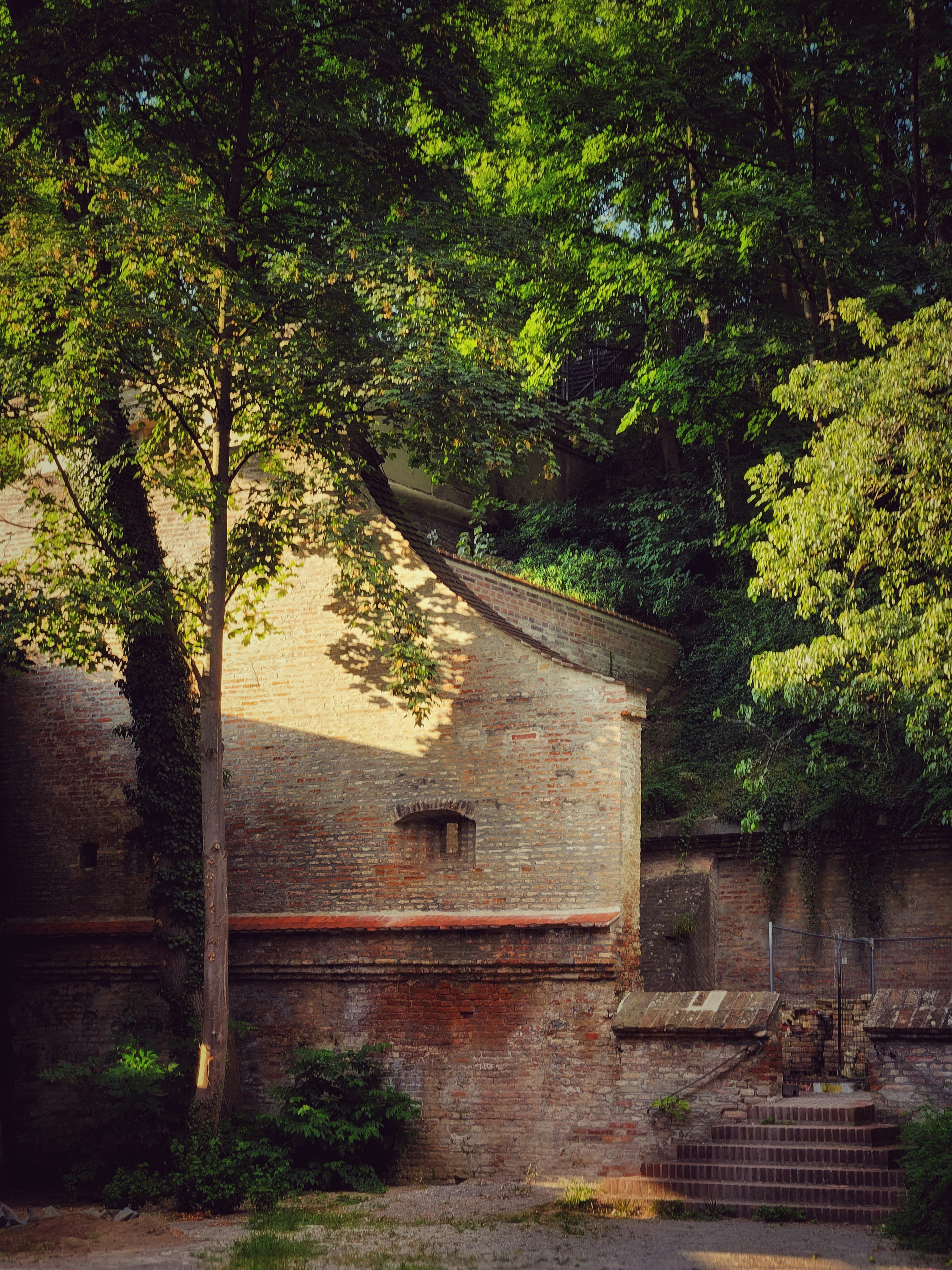 Photo by ayushvijay23