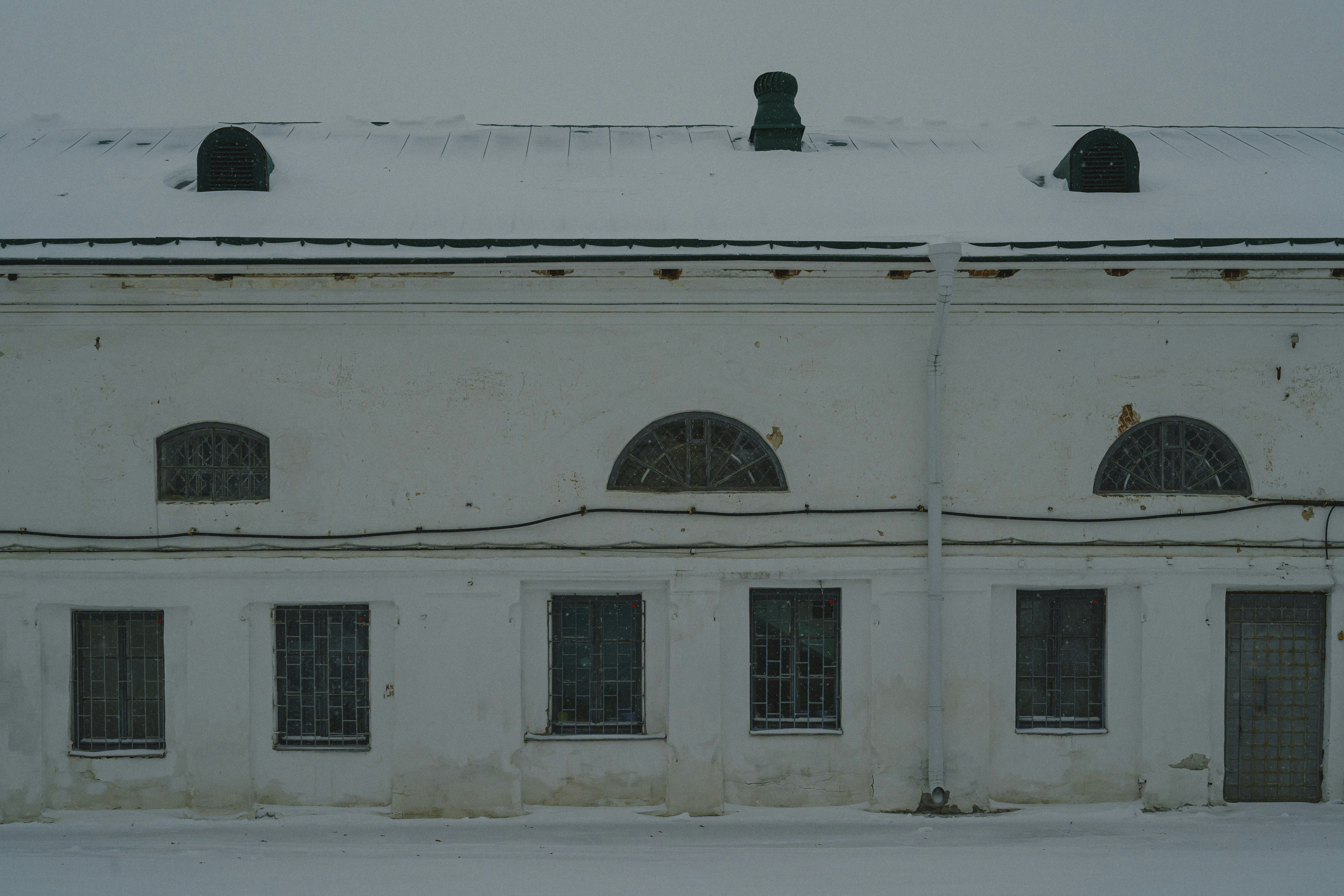 Photo by vonshnauzer