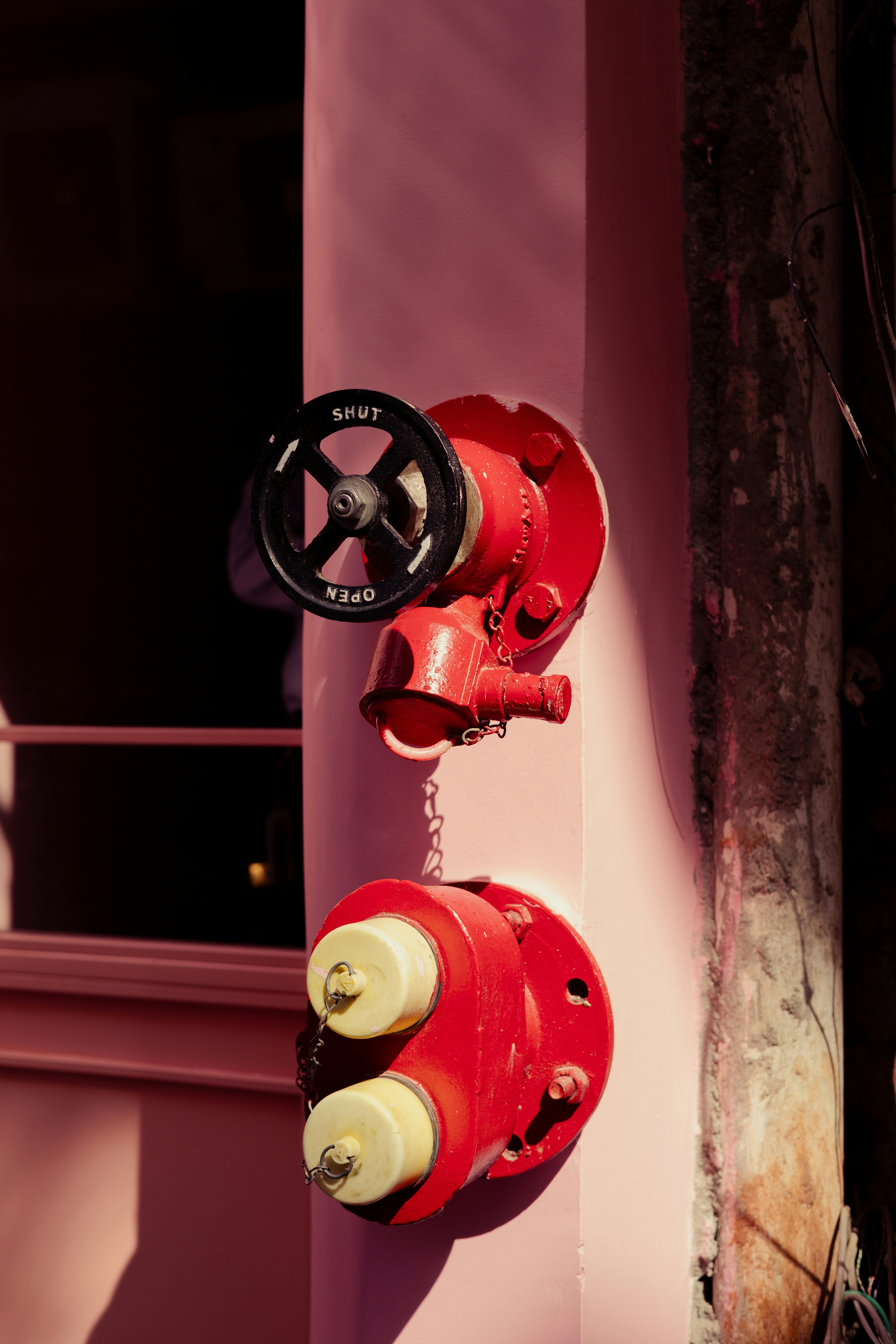 Photo by amaanabidhussain