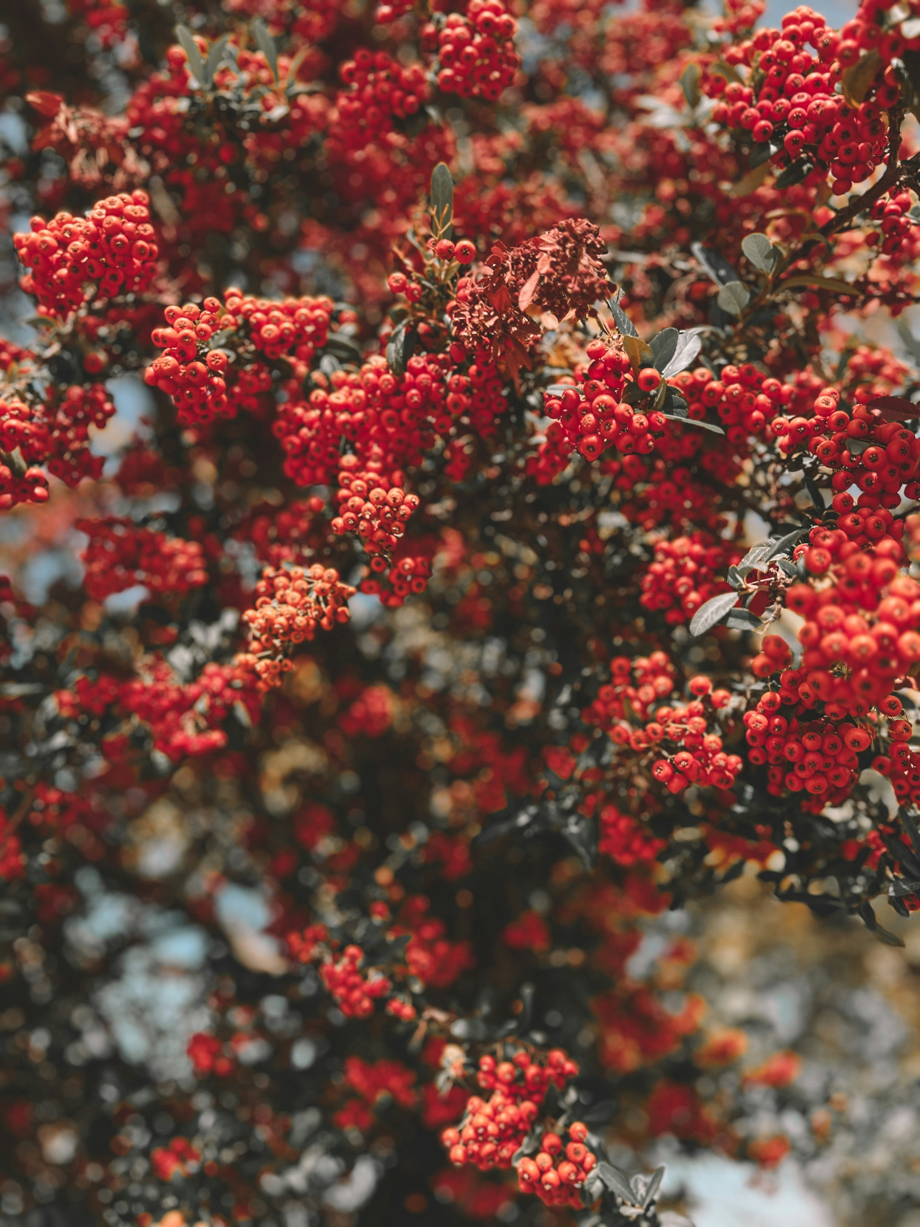 Photo by marinademir