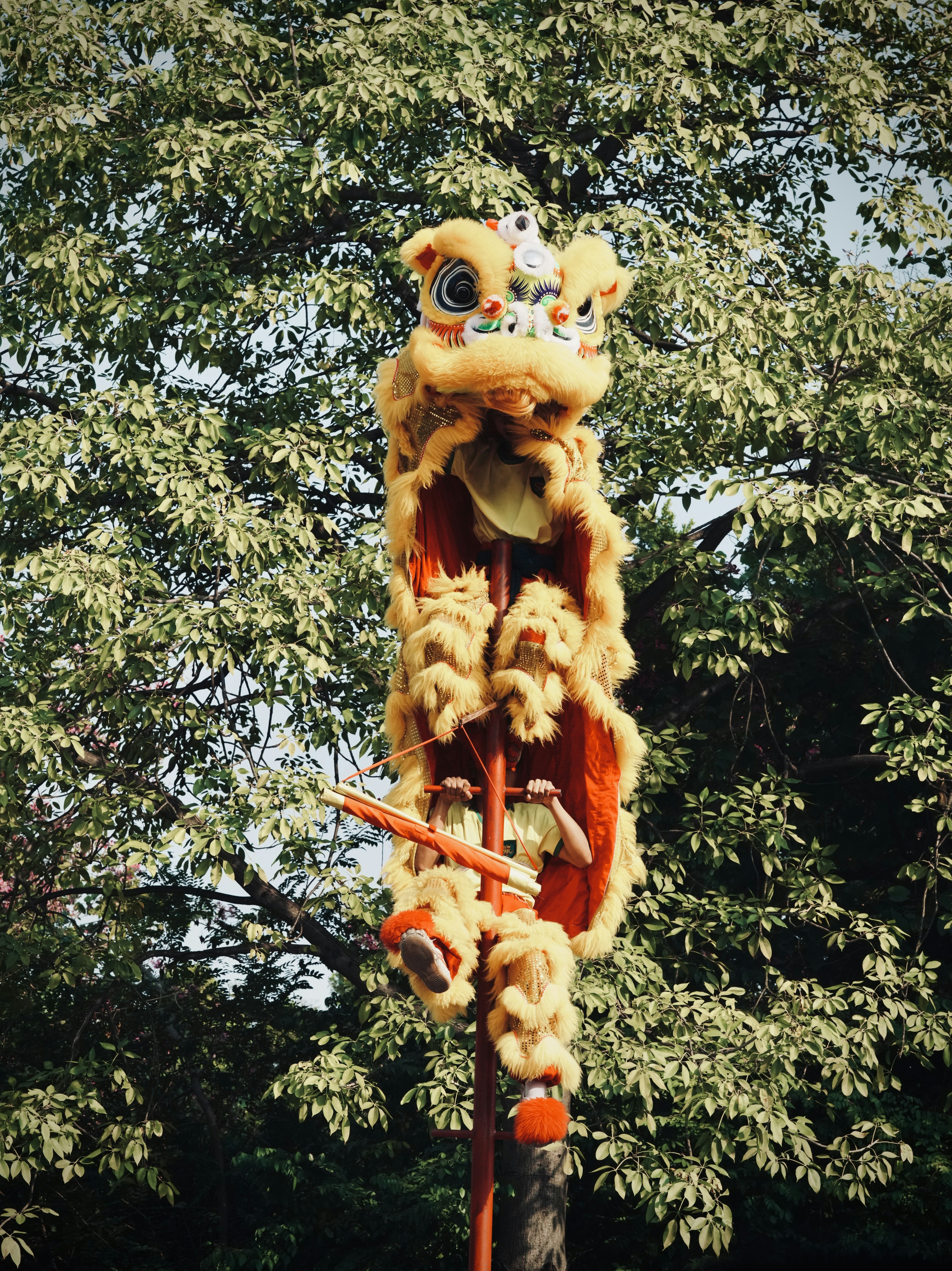 Photo by treesan