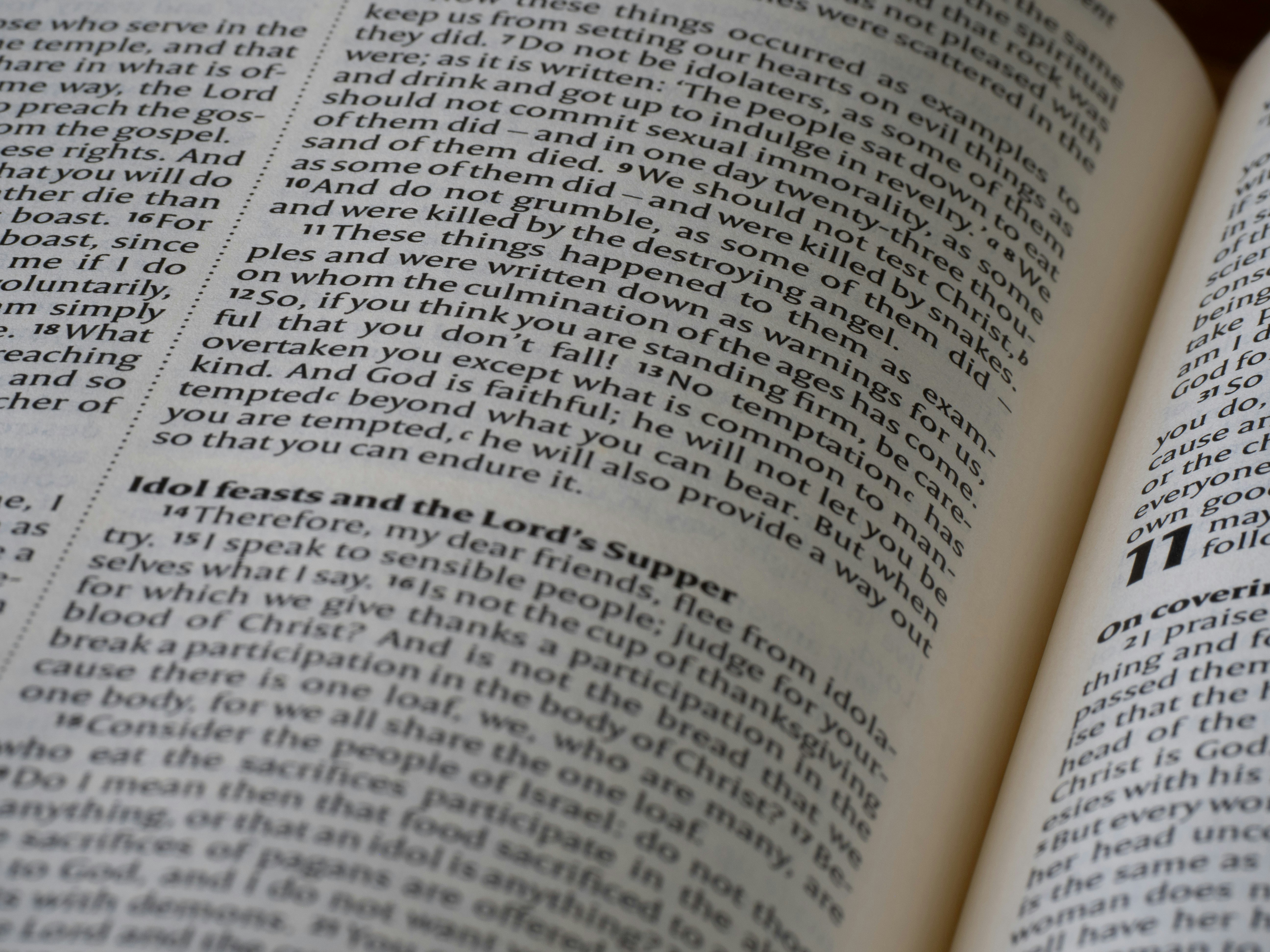 Photo by brett_jordan