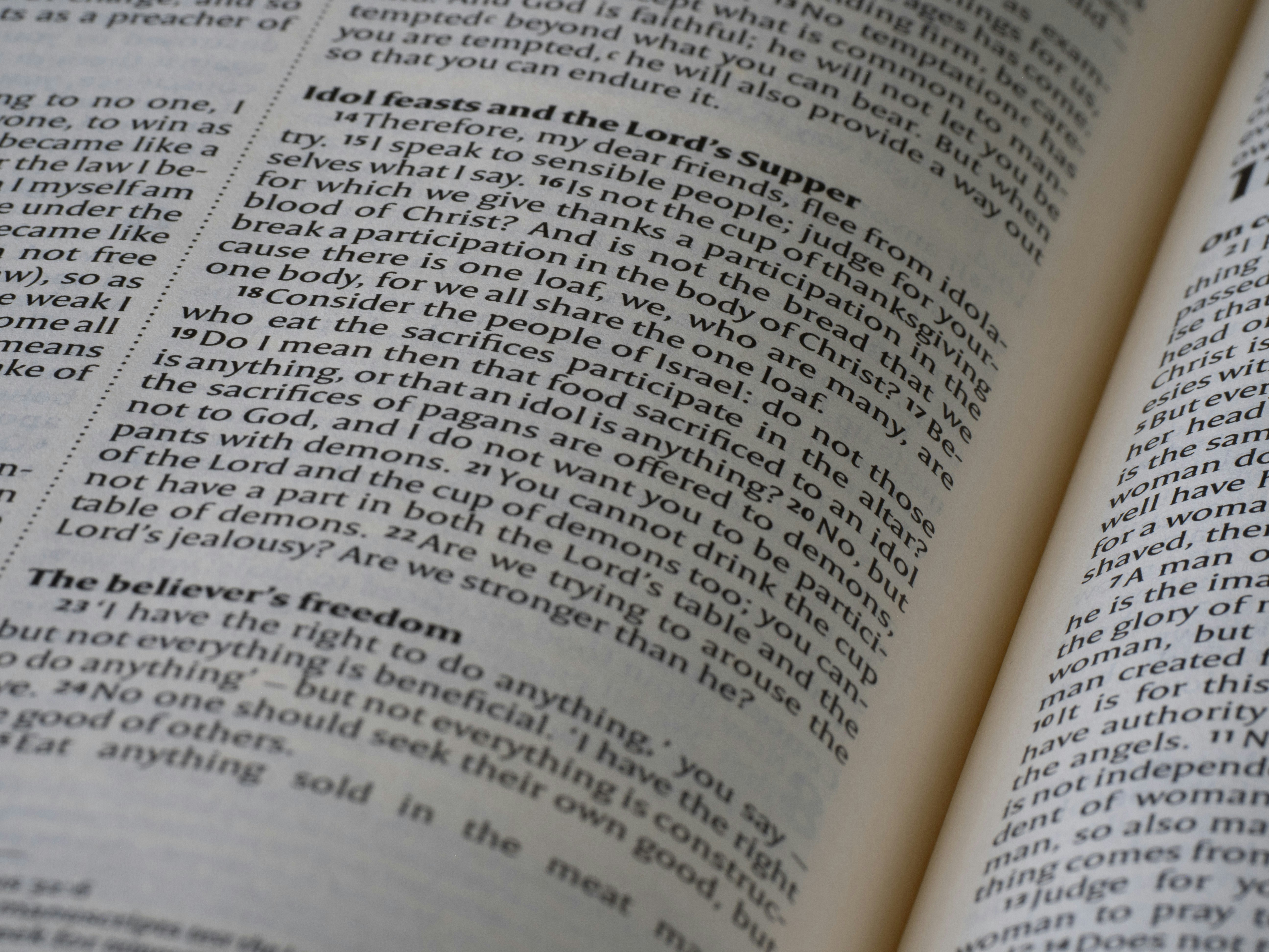 Photo by brett_jordan