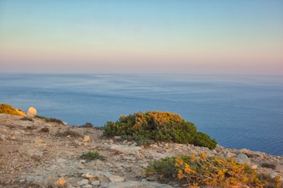 A view of the ocean from the top of a hill