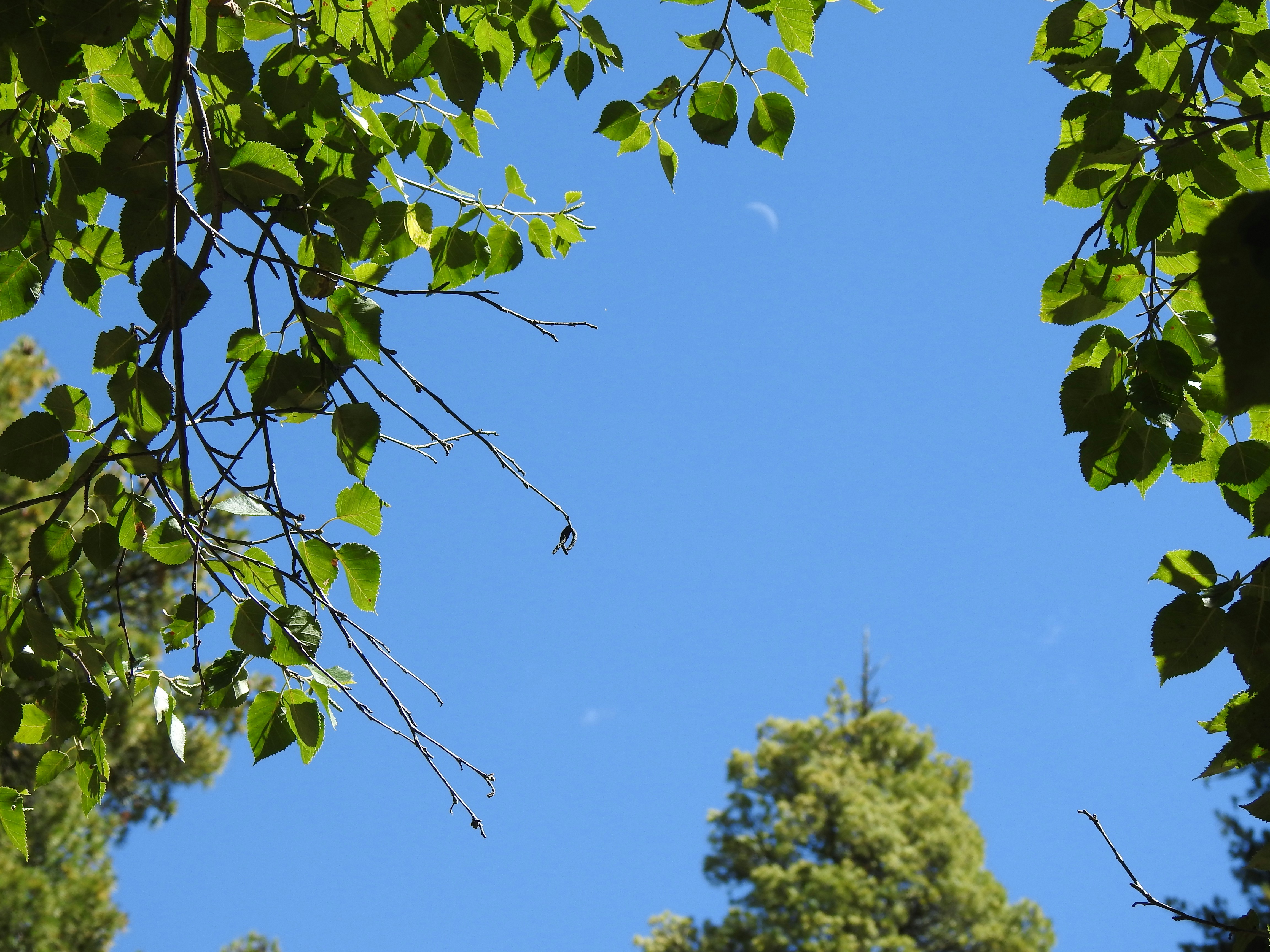 Photo by aditipanatu95