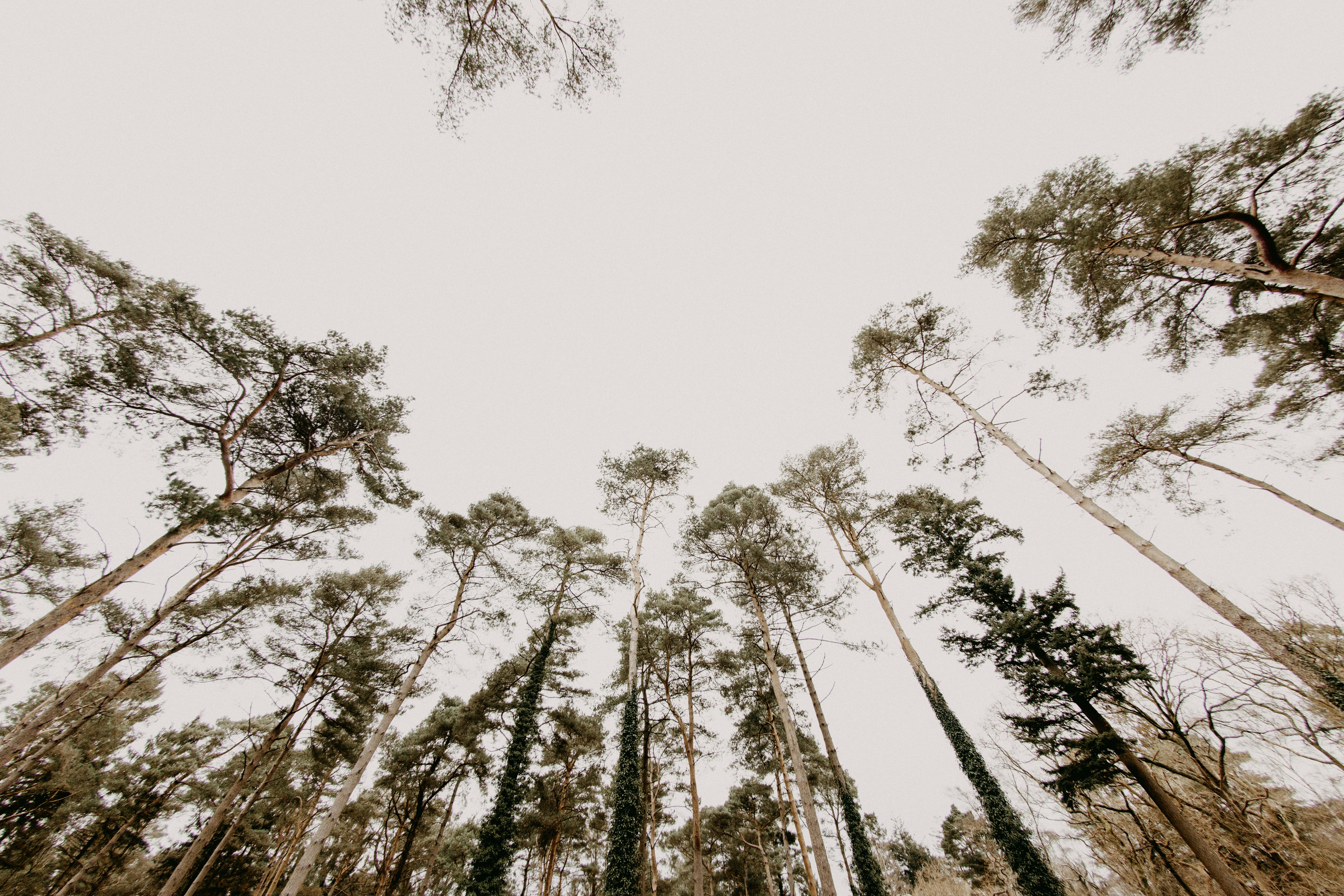 質量0gの投稿を続けると、人生も軽くなる